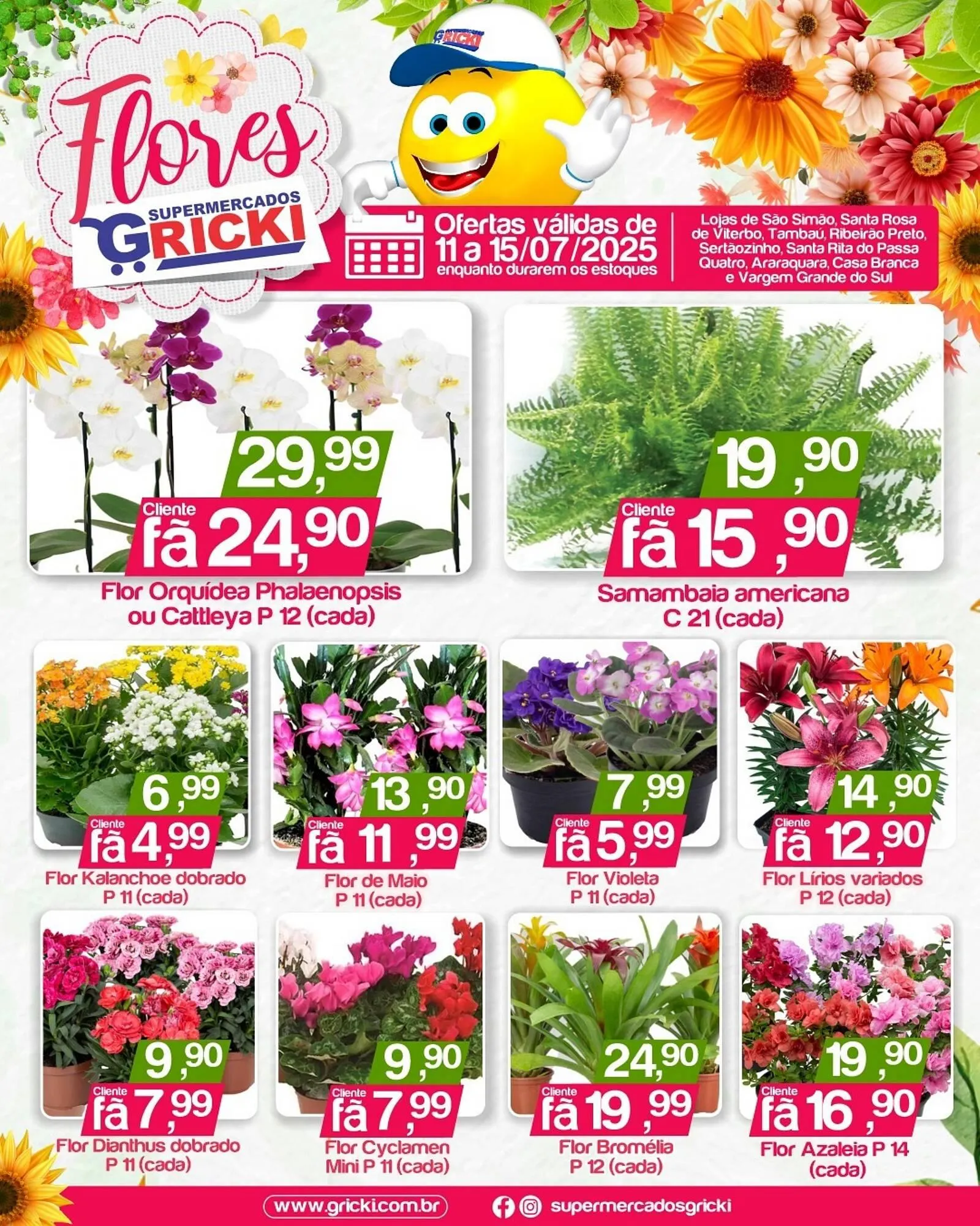 Encarte de Catálogo Supermercados Gricki 11 de julho até 15 de julho 2025 - Pagina 1