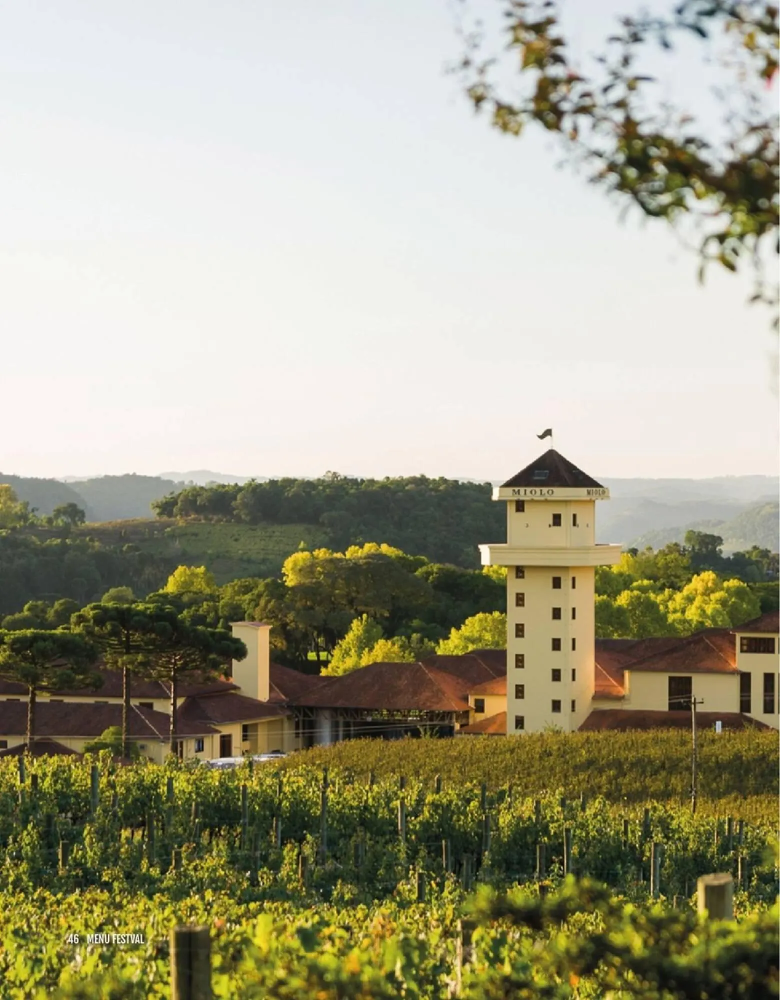 Encarte de Encarte Festval 18 de dezembro até 31 de dezembro 2025 - Pagina 46