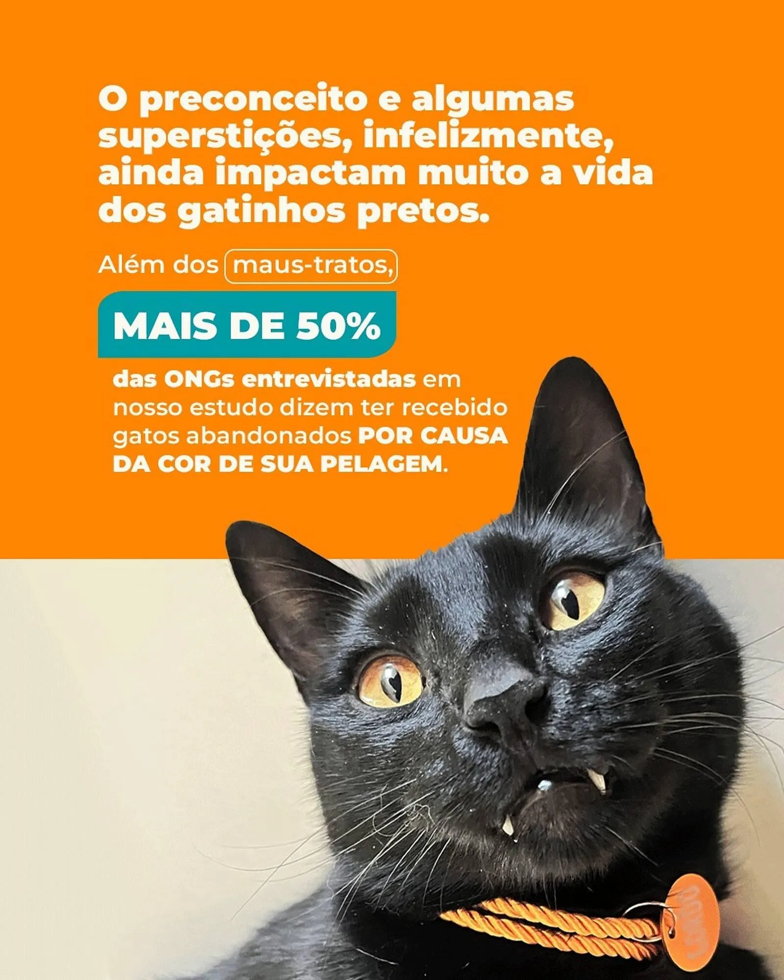 Encarte de Catálogo Cobasi 13 de março até 20 de março 2026 - Pagina 2