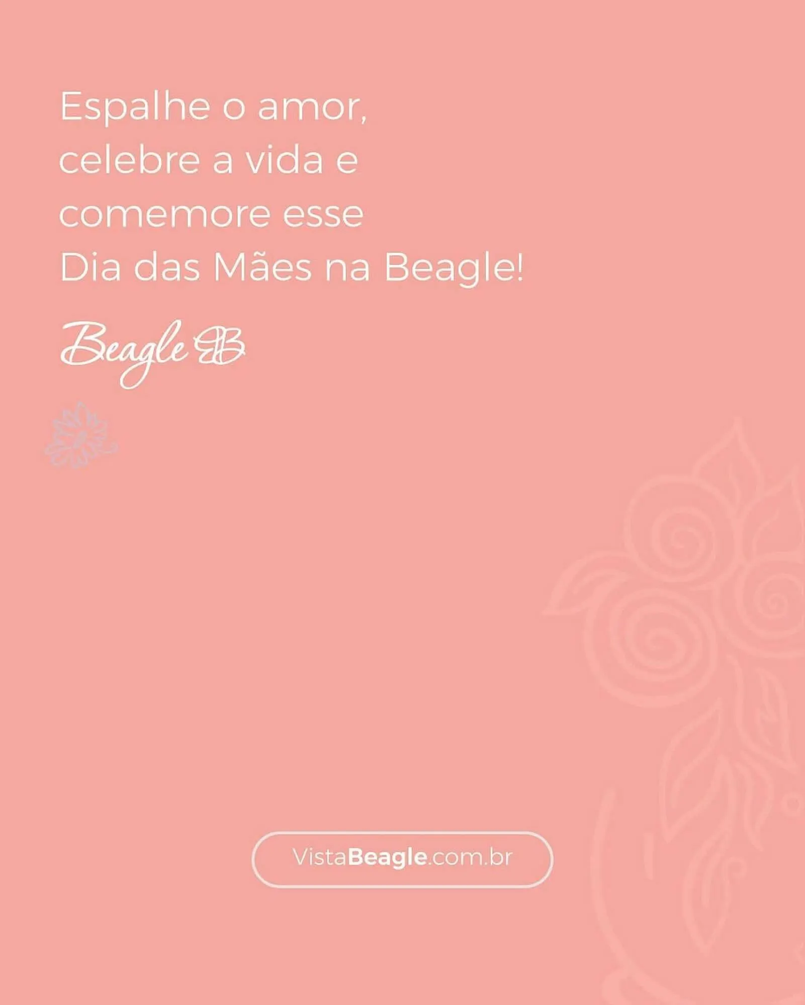 Encarte de Catálogo Beagle 27 de abril até 30 de abril 2024 - Pagina 4