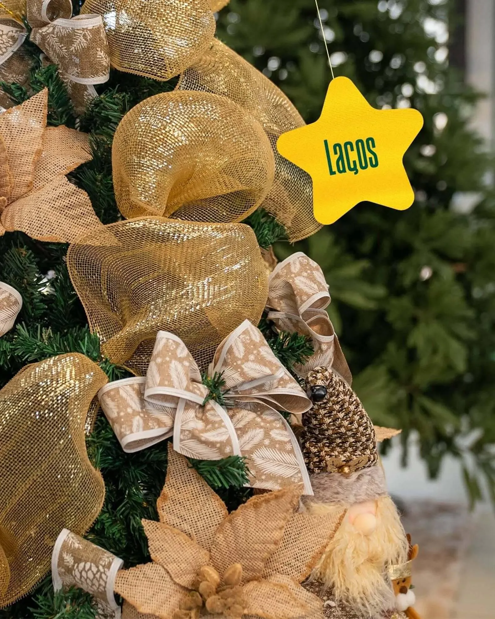 Encarte de Catálogo Carajás 16 de outubro até 31 de dezembro 2025 - Pagina 4