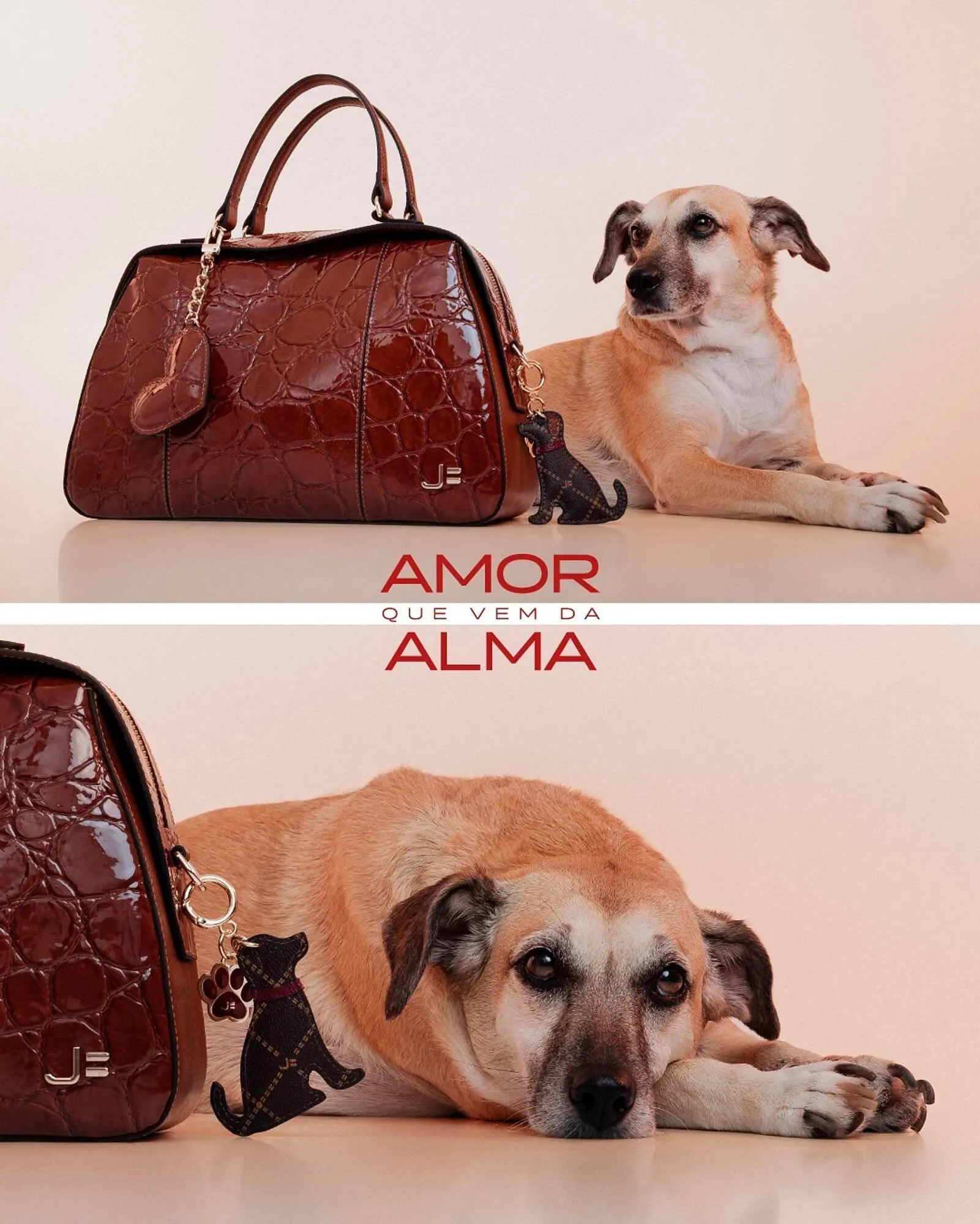 Encarte de Catálogo Jorge Bischoff 23 de abril até 30 de abril 2026 - Pagina 2