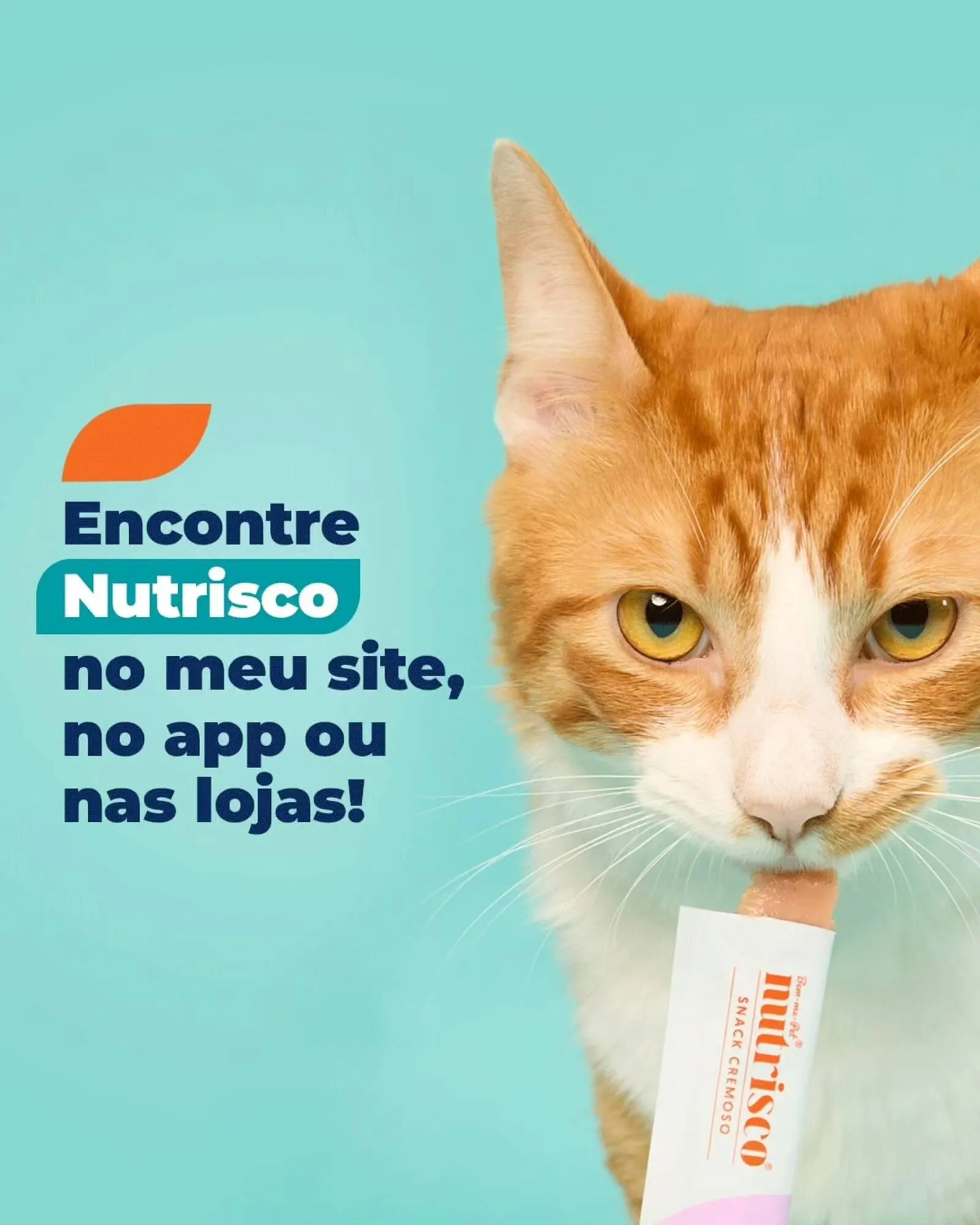 Encarte de Catálogo Cobasi 16 de janeiro até 20 de janeiro 2026 - Pagina 4