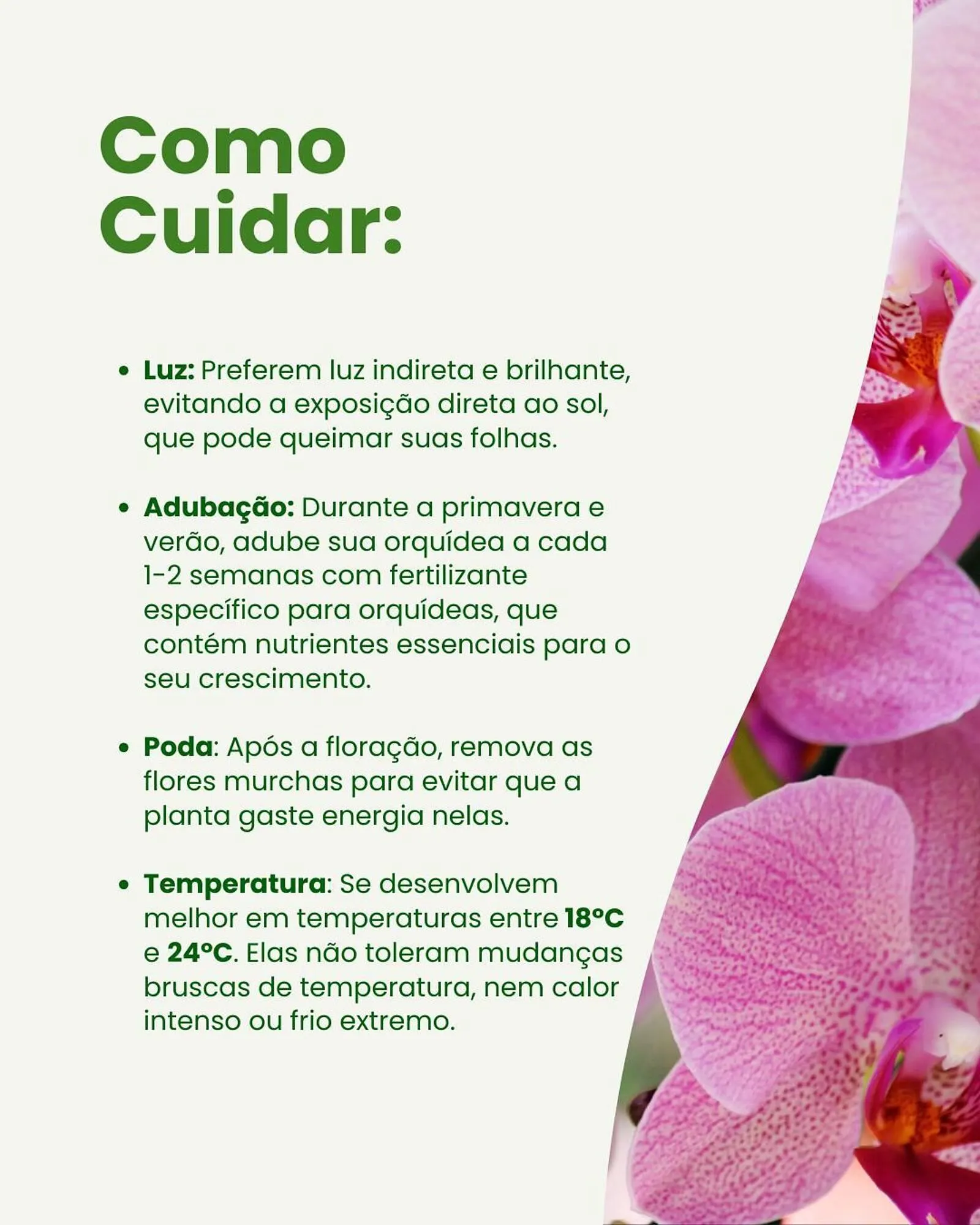 Encarte de Catálogo Asun 7 de maio até 13 de maio 2025 - Pagina 4