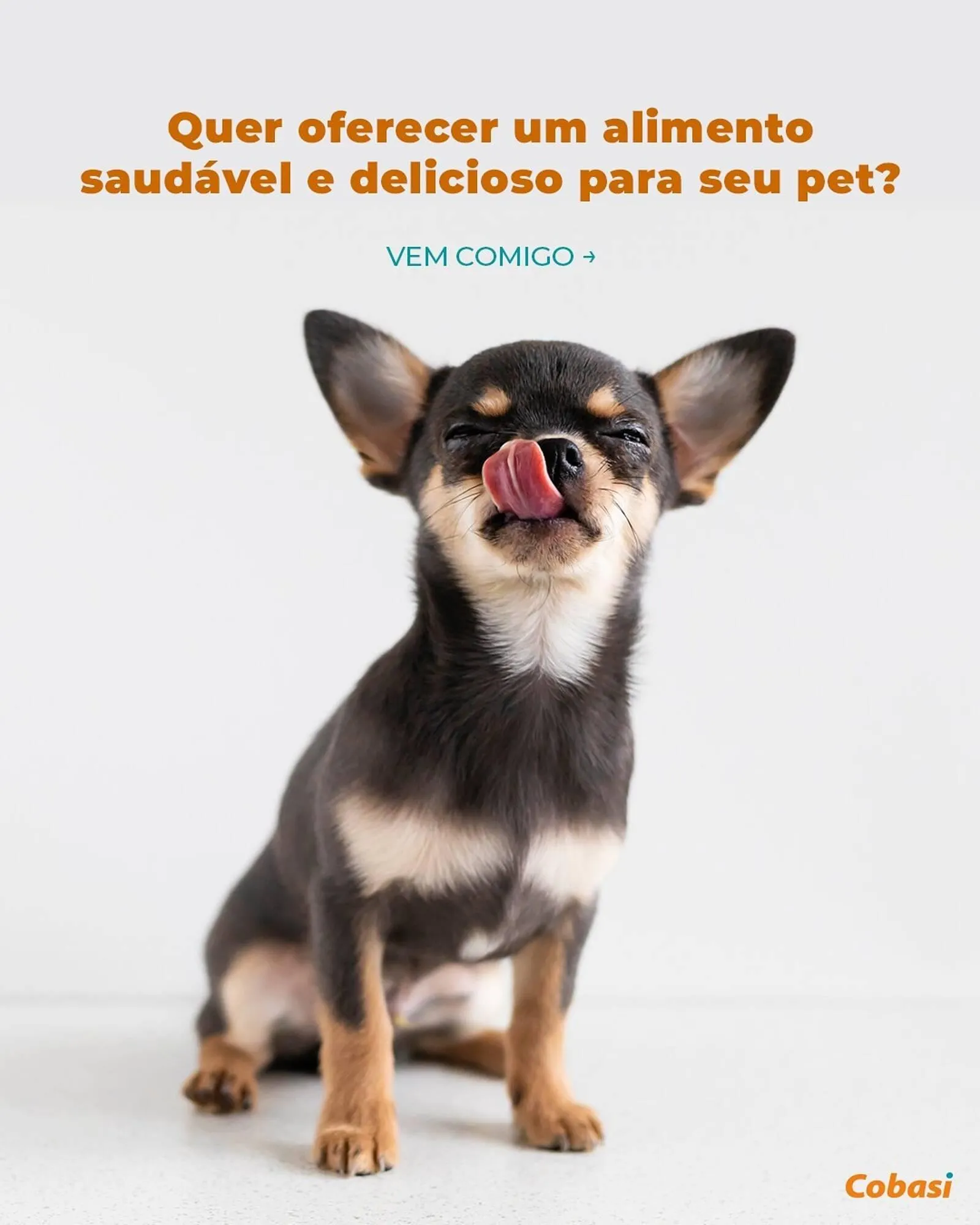 Catálogo Cobasi - 1