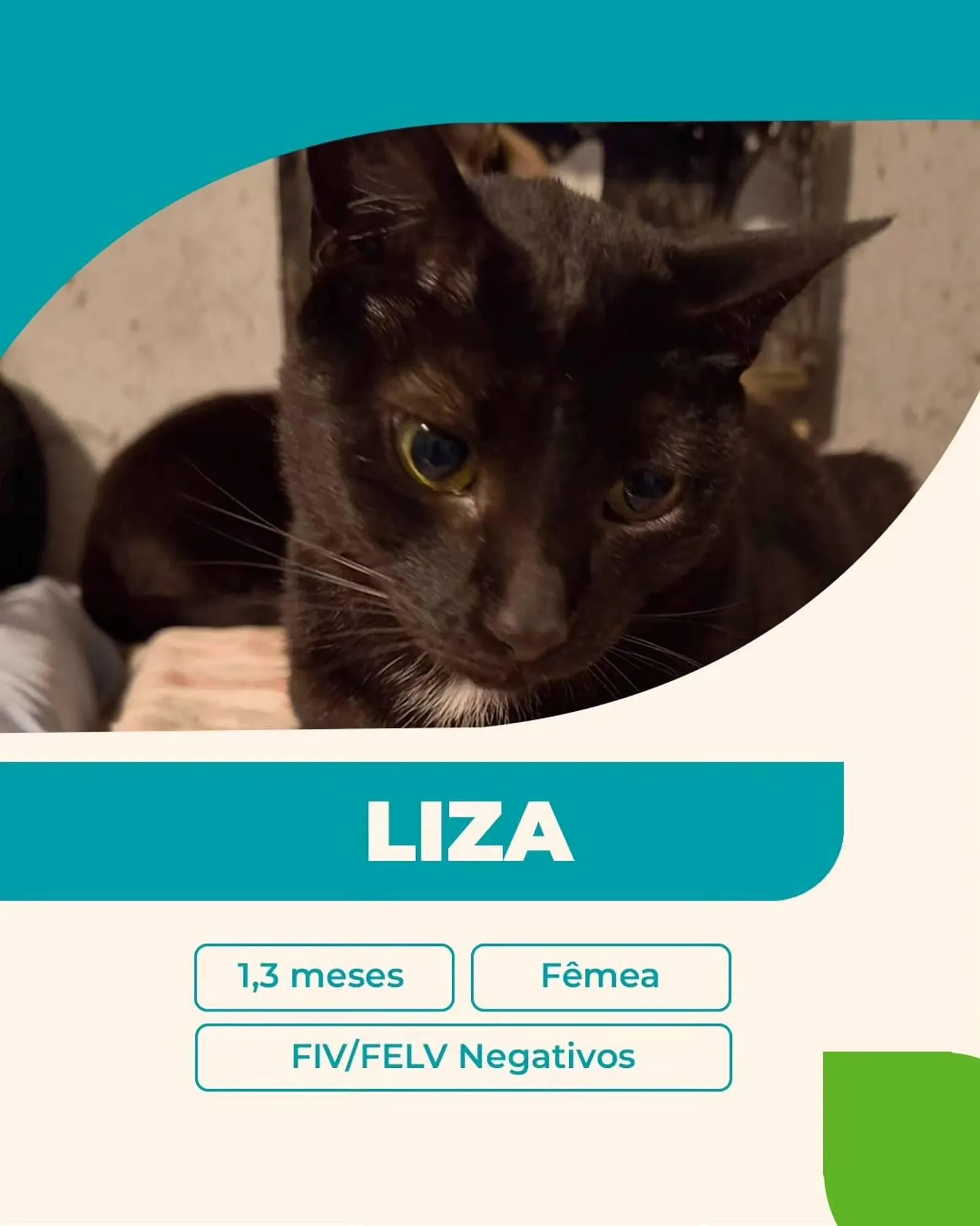 Encarte de Catálogo Cobasi 27 de outubro até 31 de outubro 2025 - Pagina 3