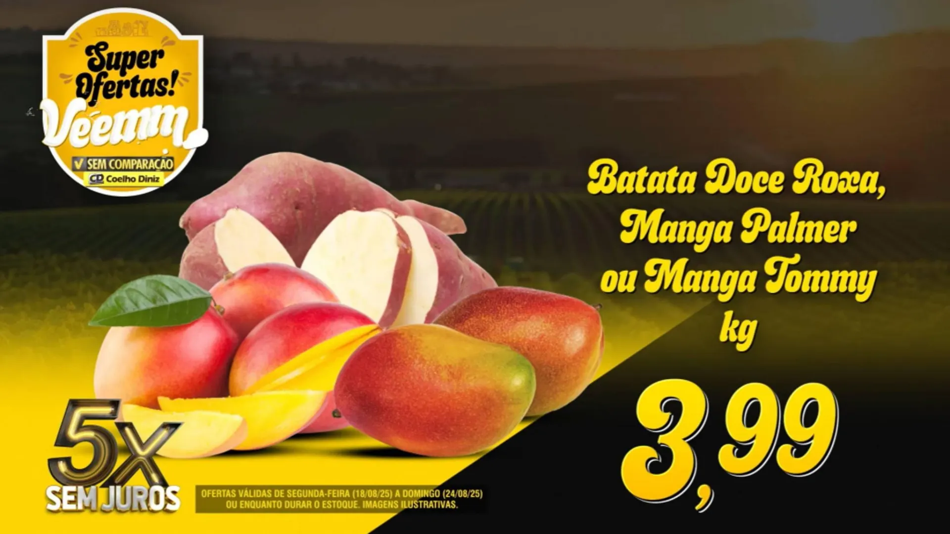 Encarte de Catálogo Coelho Diniz 18 de agosto até 24 de agosto 2025 - Pagina 6