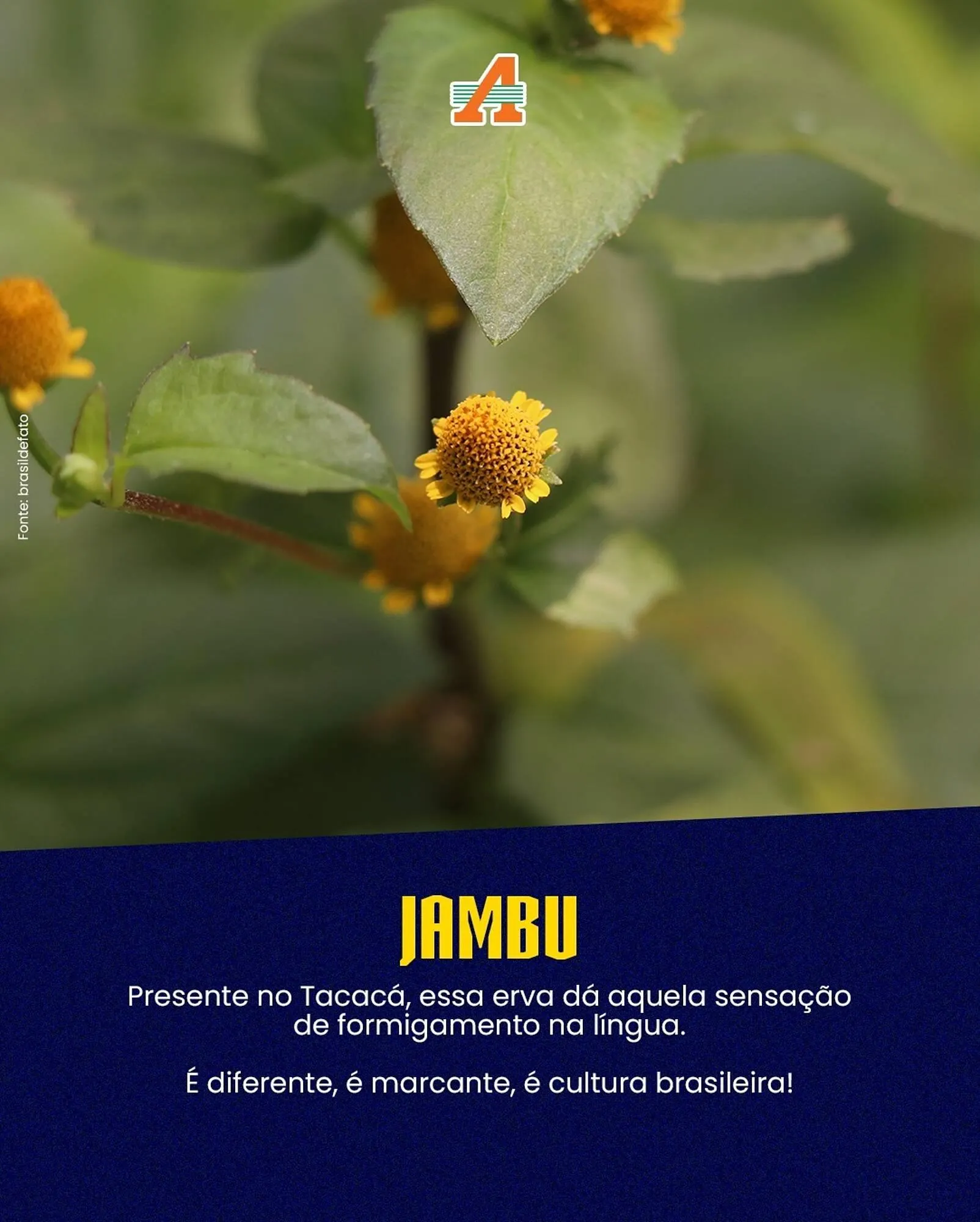 Encarte de Catálogo Atacadão 22 de junho até 23 de junho 2025 - Pagina 2