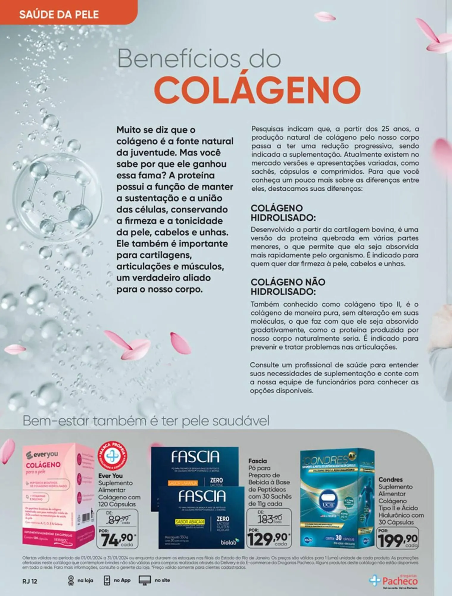 Encarte de Catálogo Drogarias Pacheco 3 de janeiro até 31 de janeiro 2024 - Pagina 12