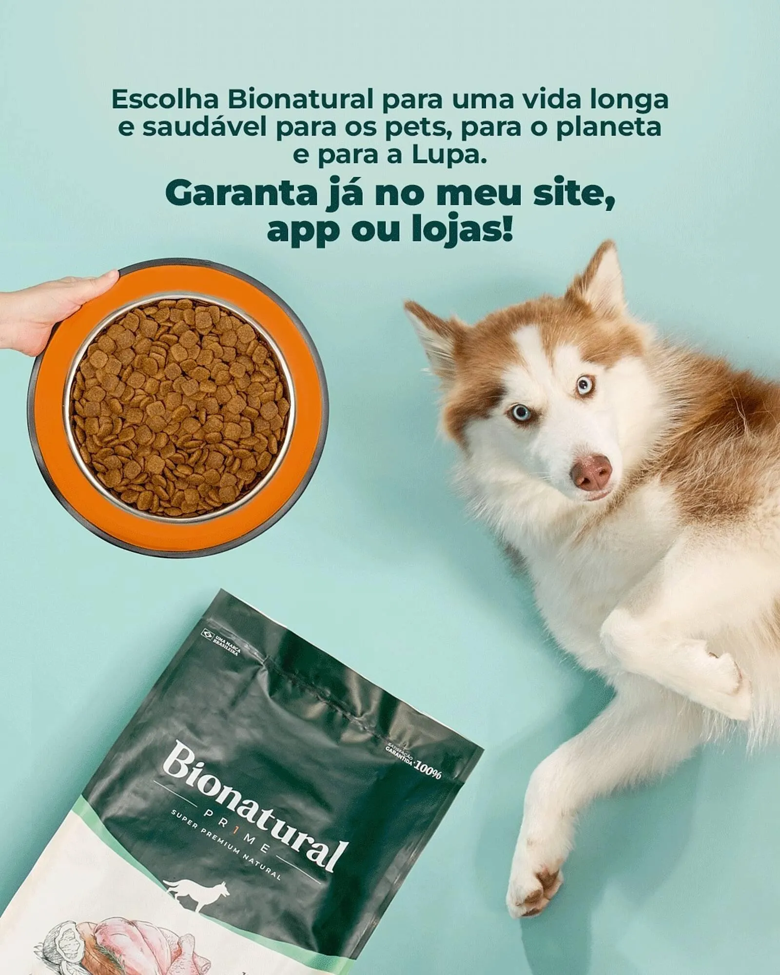 Encarte de Catálogo Cobasi 23 de março até 30 de março 2026 - Pagina 5