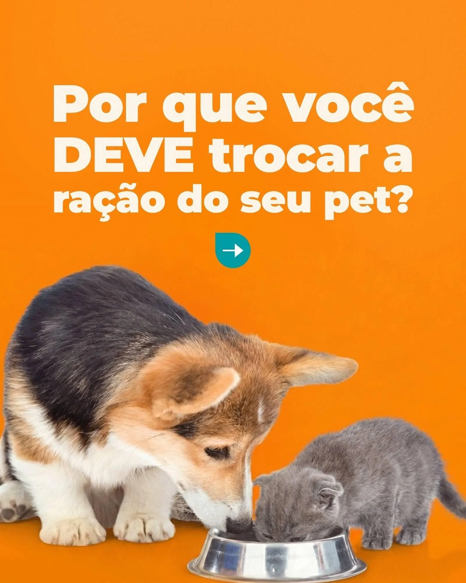 Encarte de Catálogo Cobasi 25 de fevereiro até 28 de fevereiro 2026 - Pagina 1