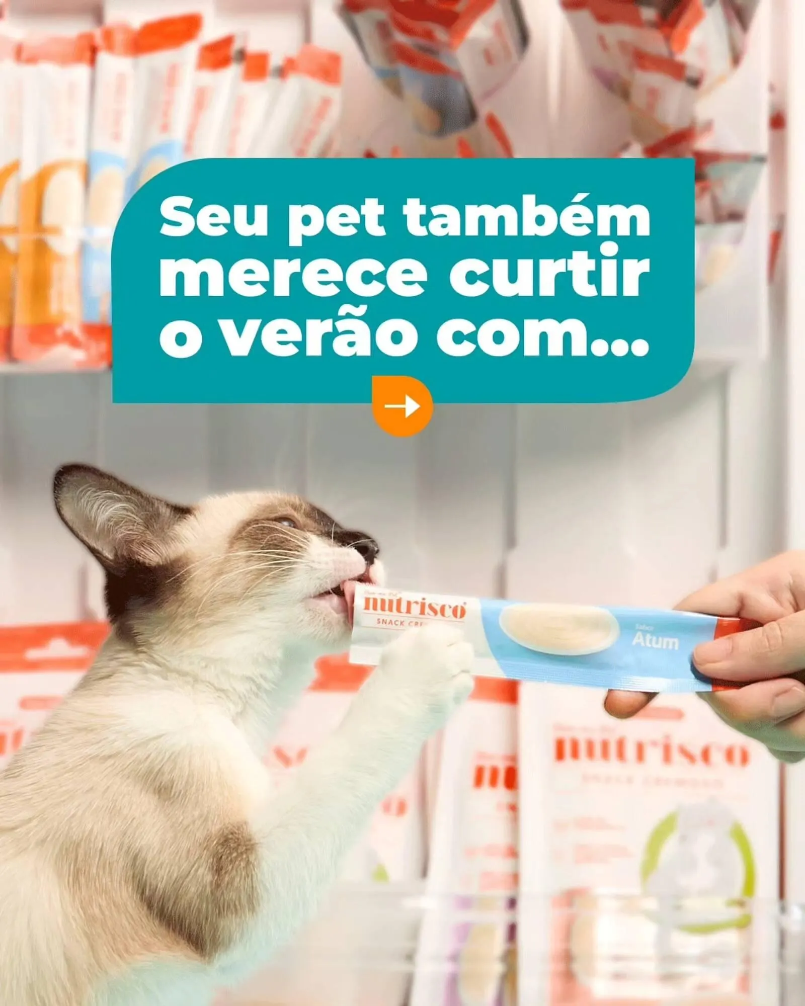 Encarte de Catálogo Cobasi 16 de janeiro até 20 de janeiro 2026 - Pagina 1