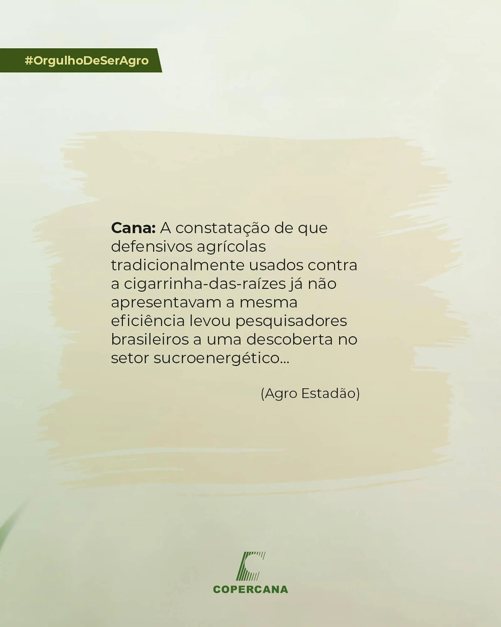 Encarte de Tabloide Copercana 8 de janeiro até 8 de janeiro 2026 - Pagina 3