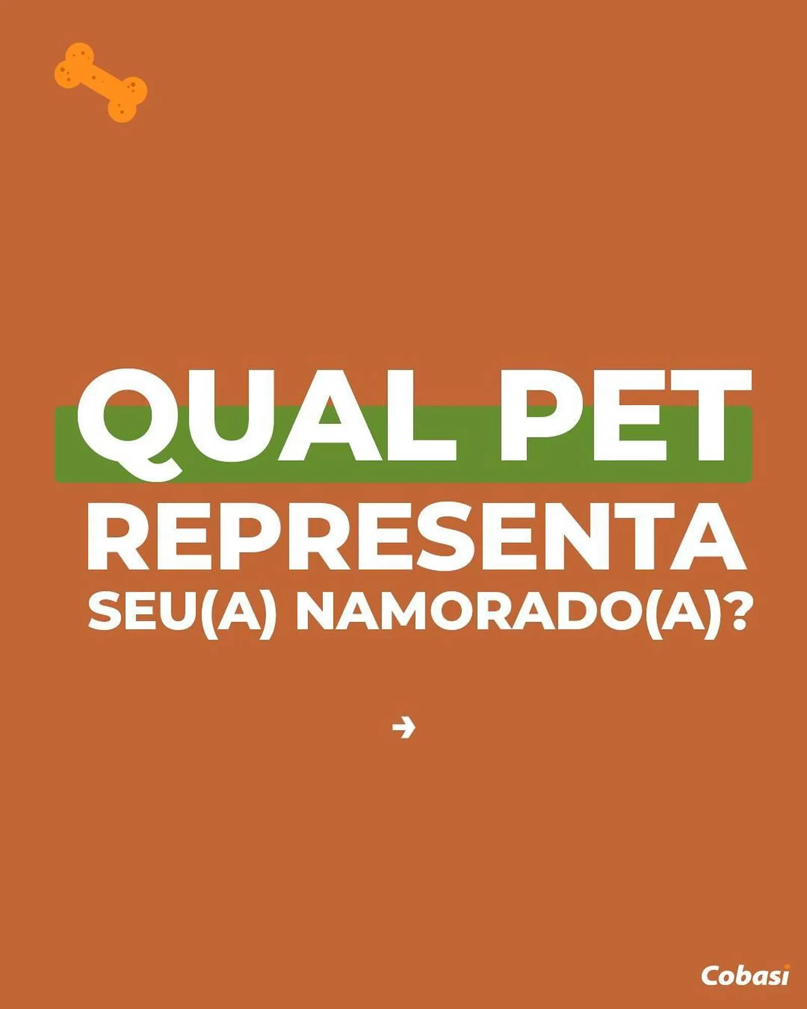 Catálogo Cobasi - 1