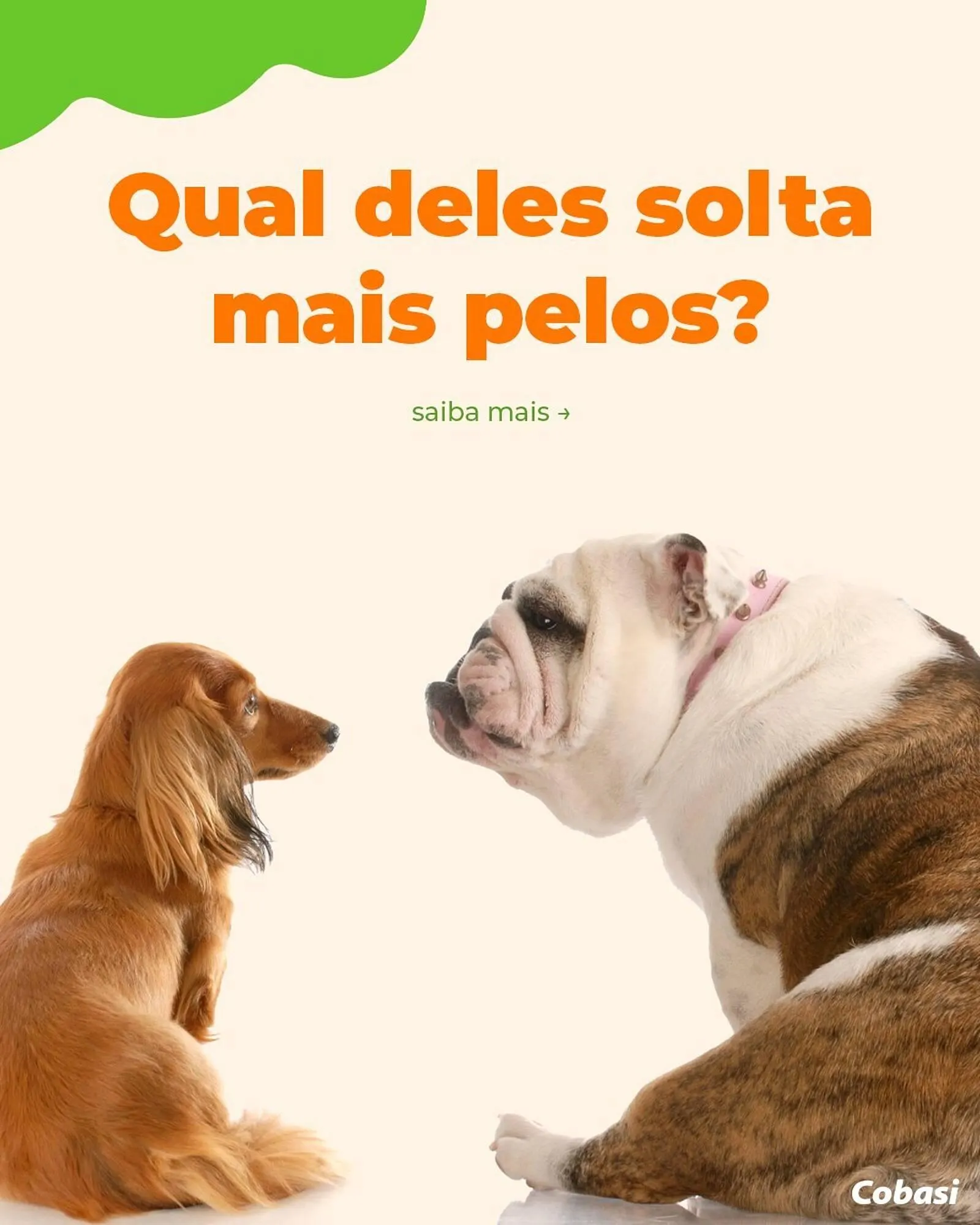 Catálogo Cobasi - 1