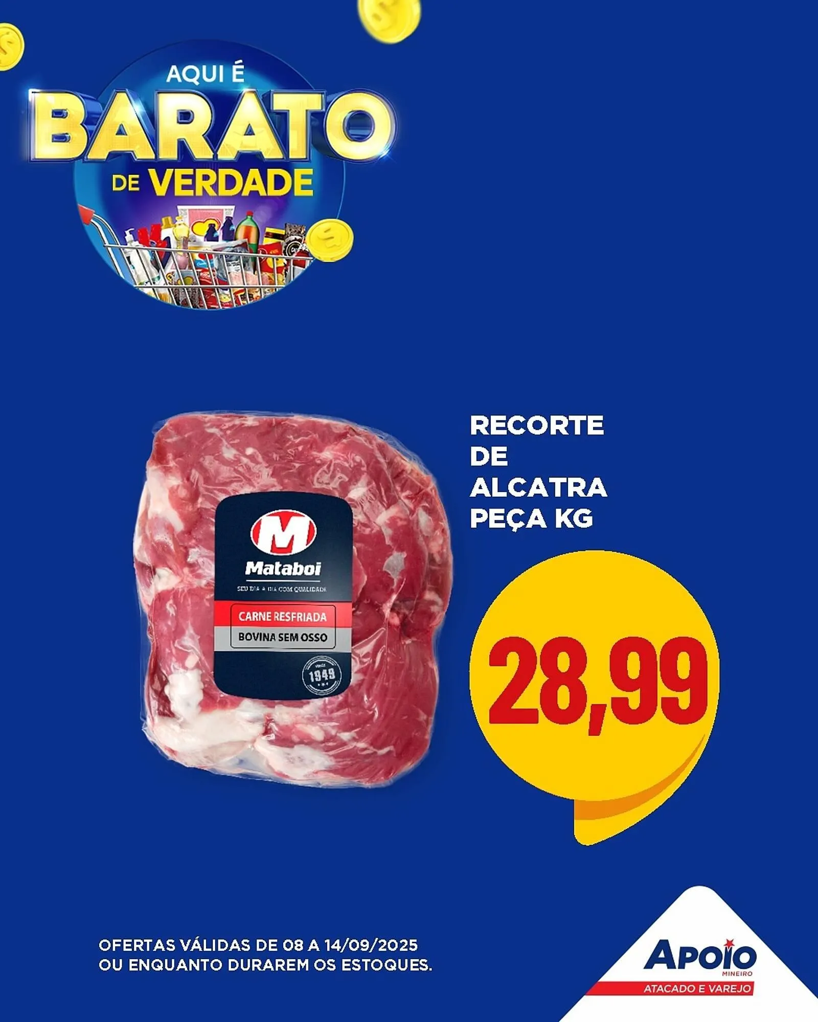 Encarte de Folheto Apoio Mineiro 8 de setembro até 14 de setembro 2025 - Pagina 3