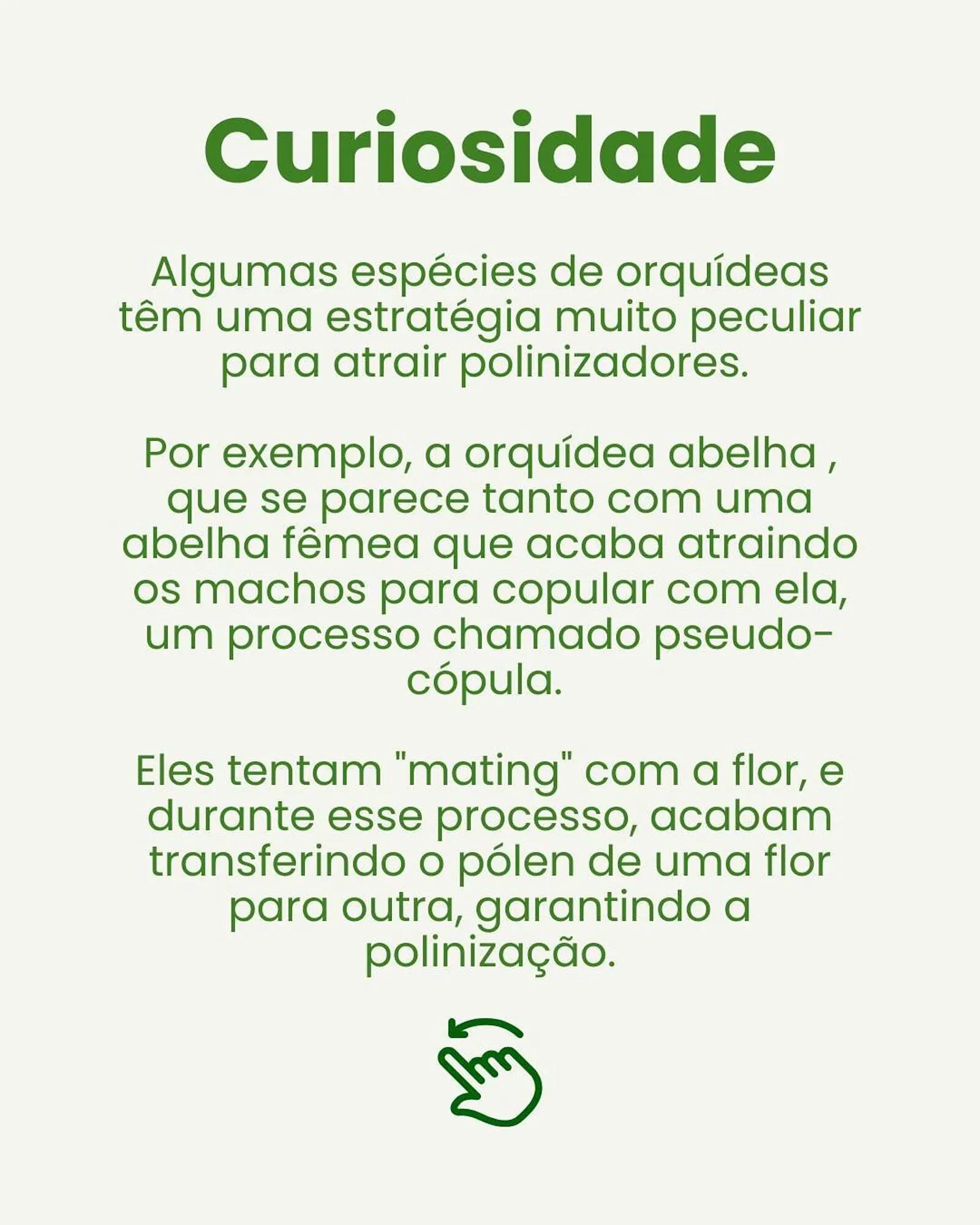 Encarte de Catálogo Asun 7 de maio até 13 de maio 2025 - Pagina 3