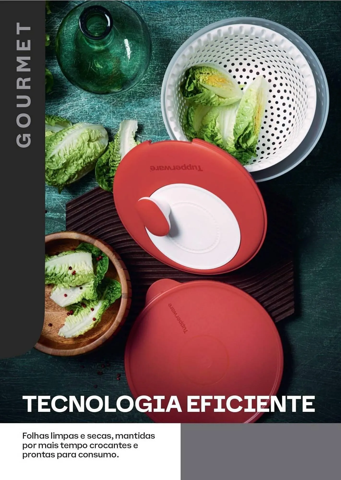 Encarte de Catálogo Tupperware 1 de outubro até 31 de outubro 2025 - Pagina 48