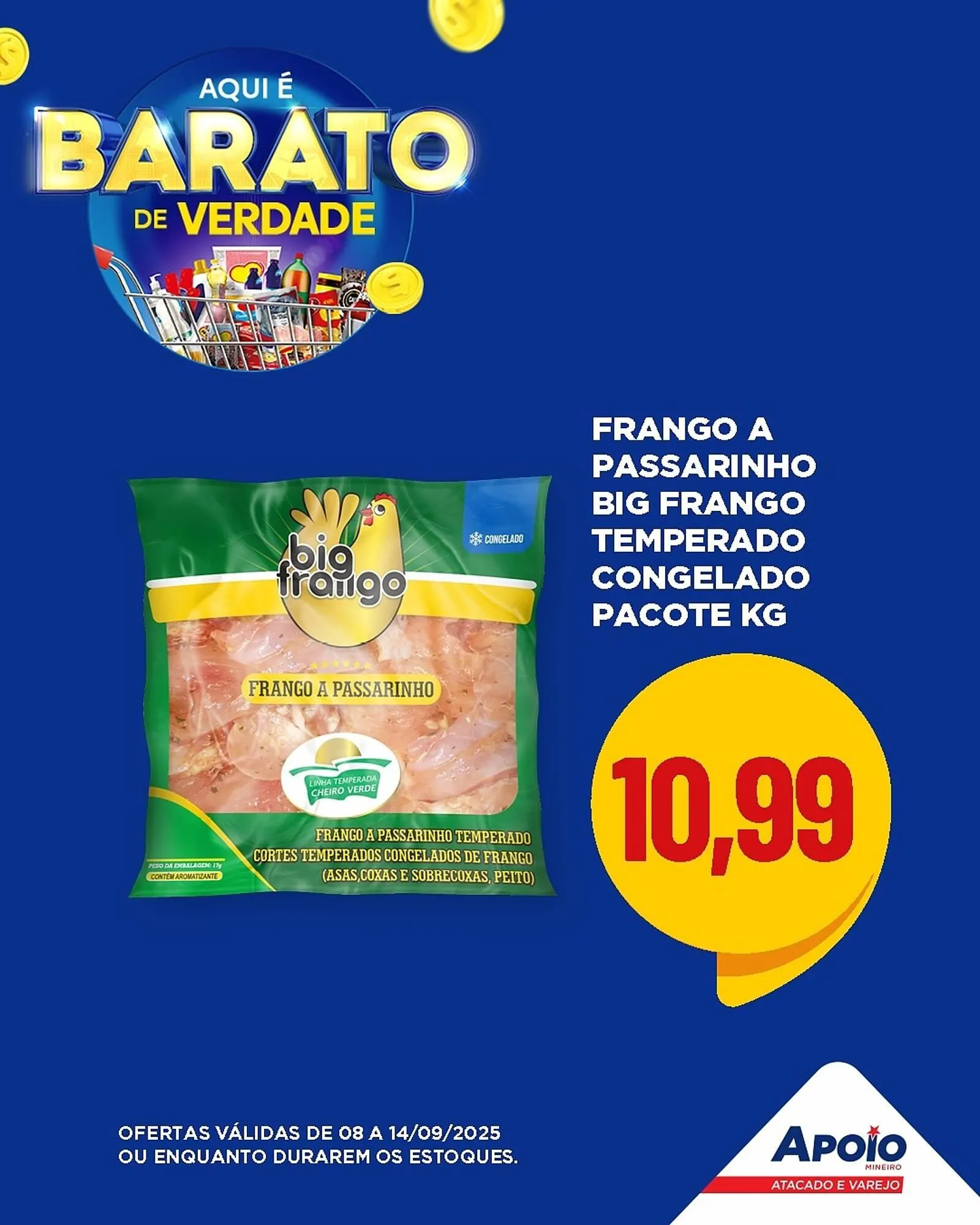 Folheto Apoio Mineiro - 1