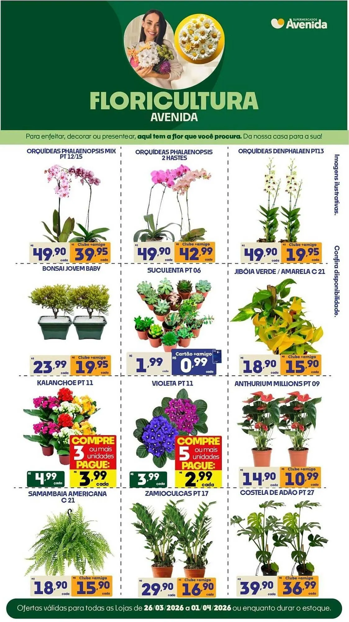 Encarte de Catálogo Supermercados Avenida 26 de março até 29 de março 2026 - Pagina 3