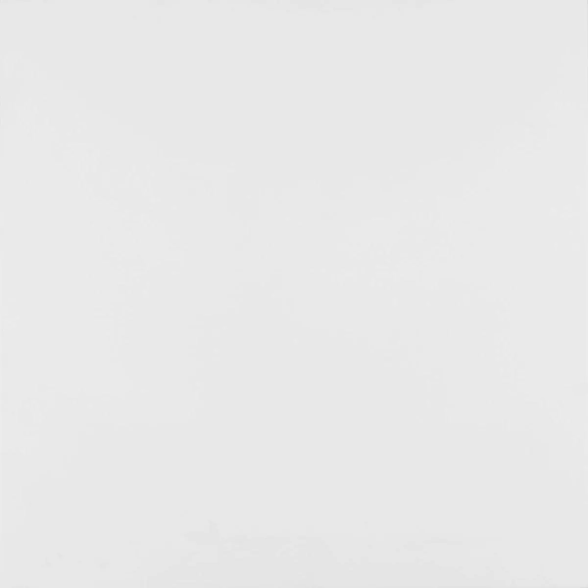 Porcelanato Acetinado Retificado Artico Alpe Eliane