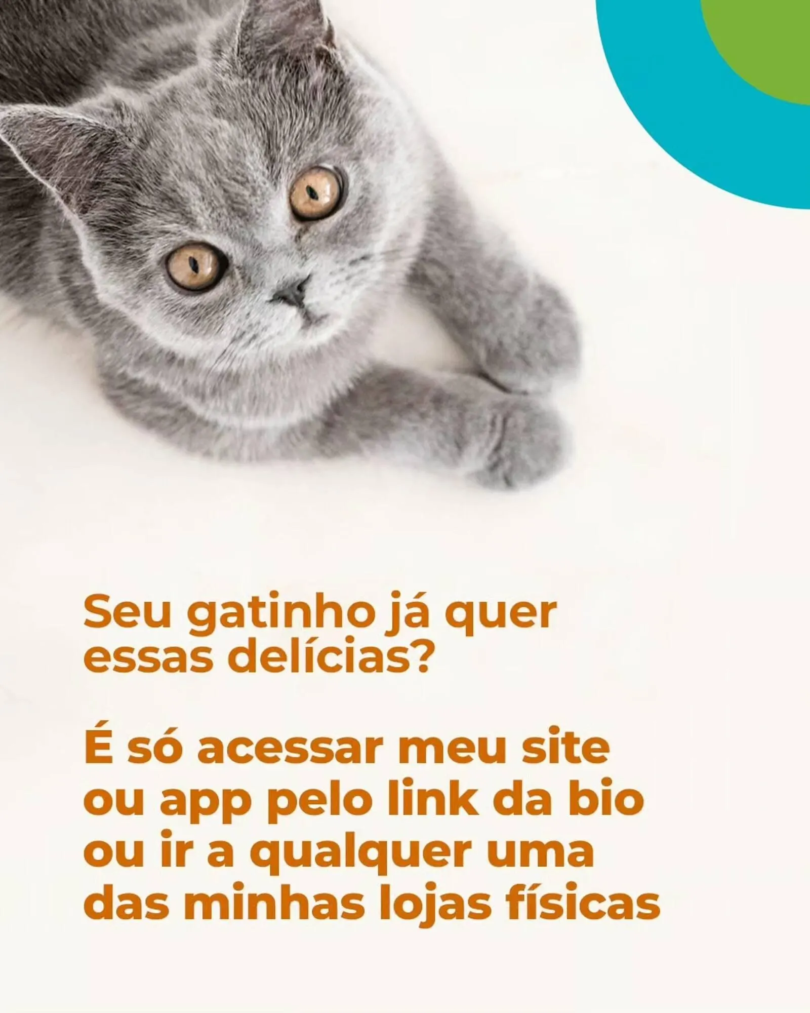 Encarte de Catálogo Cobasi 5 de fevereiro até 7 de fevereiro 2026 - Pagina 3