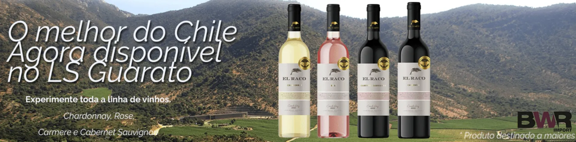 Encarte de Catálogo Supermercado LS Guarato 10 de outubro até 3 de novembro 2025 - Pagina 4