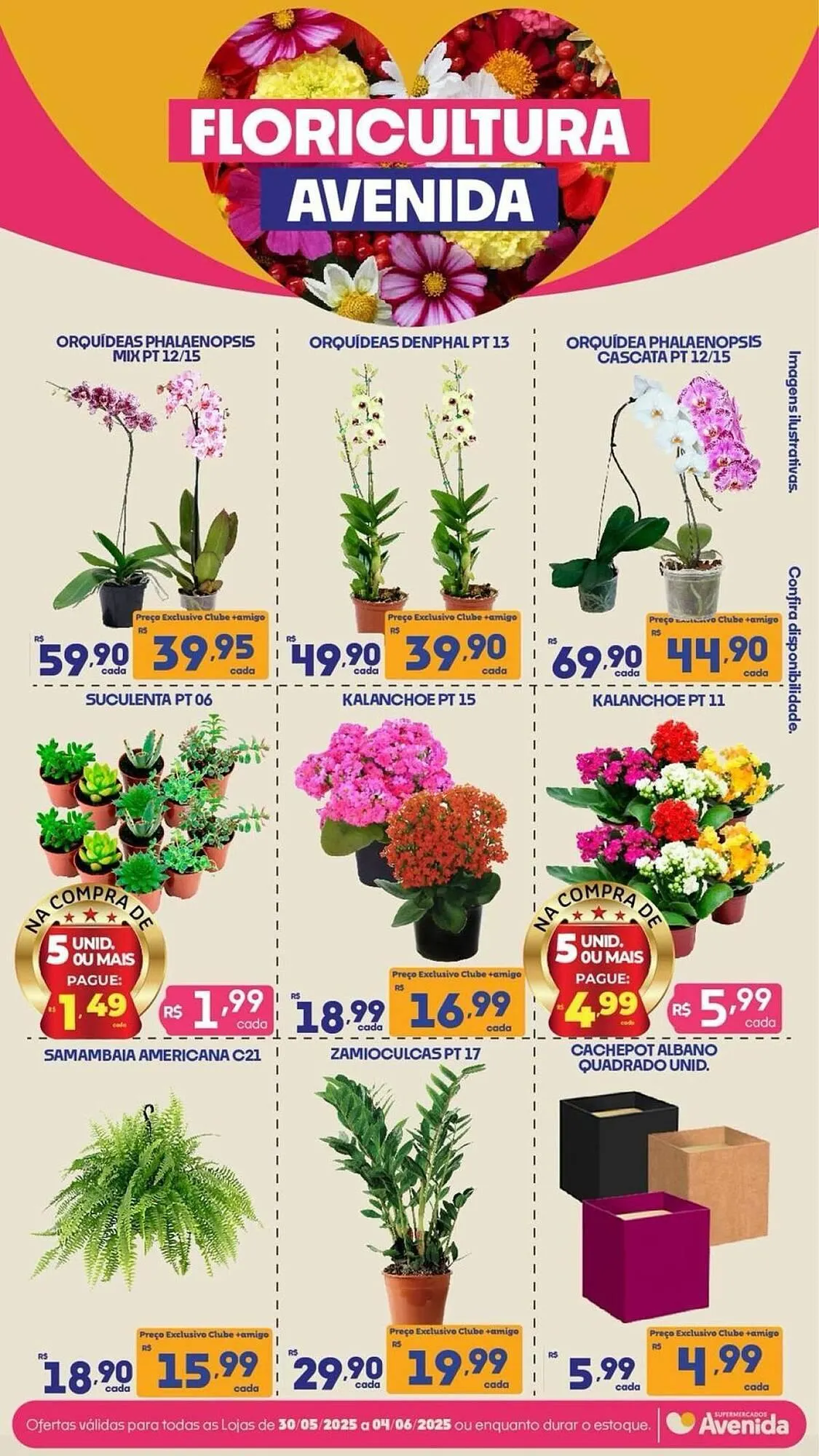 Encarte de Catálogo Supermercados Avenida 2 de junho até 8 de junho 2025 - Pagina 2