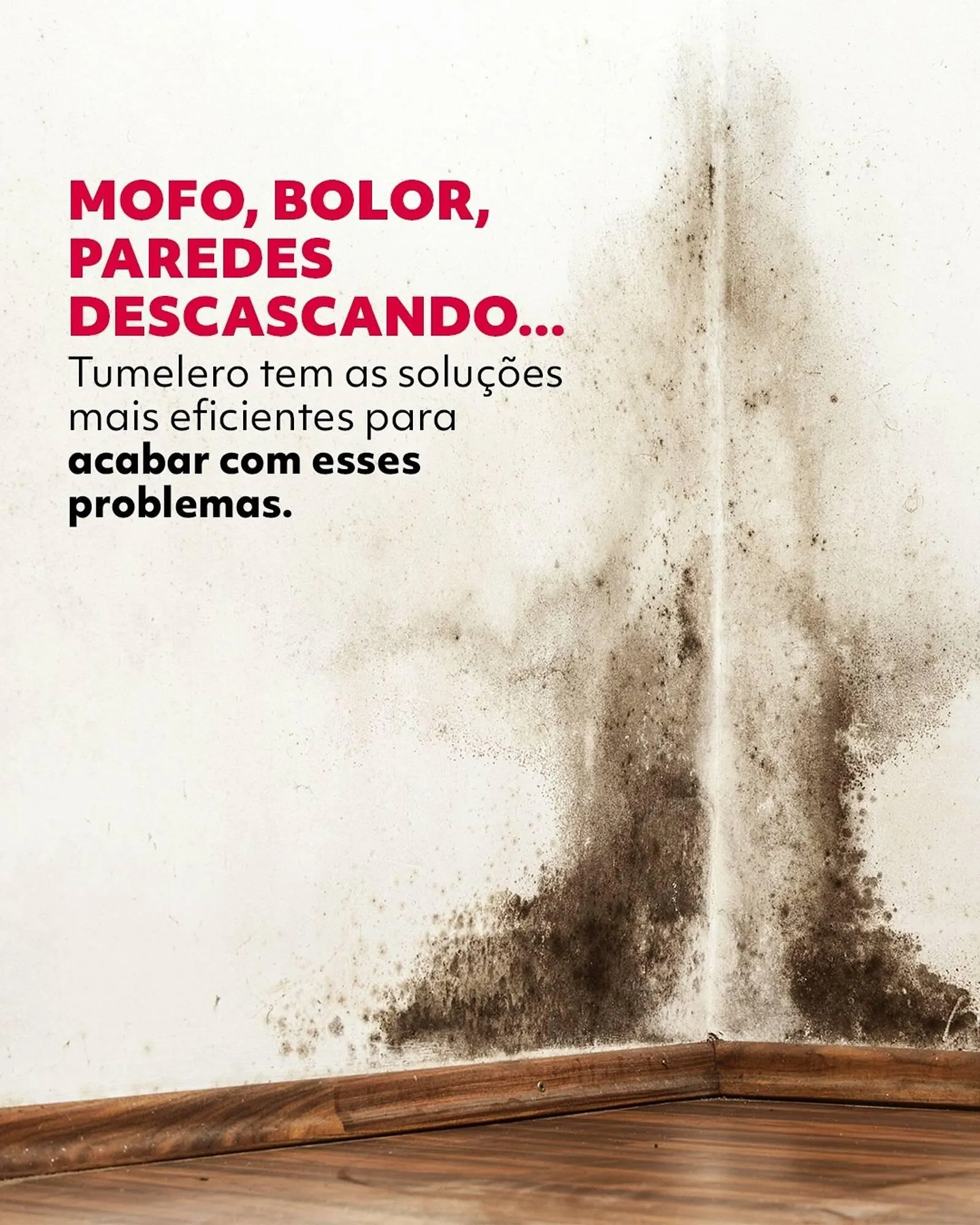 Encarte de Catálogo Tumelero 3 de julho até 8 de julho 2025 - Pagina 2