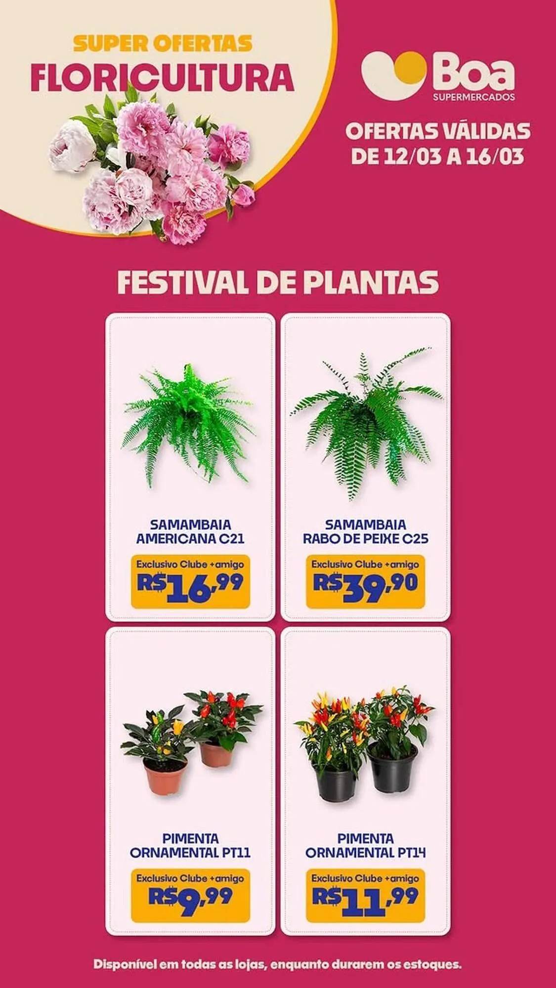 Tabloide Boa Supermercados - 1