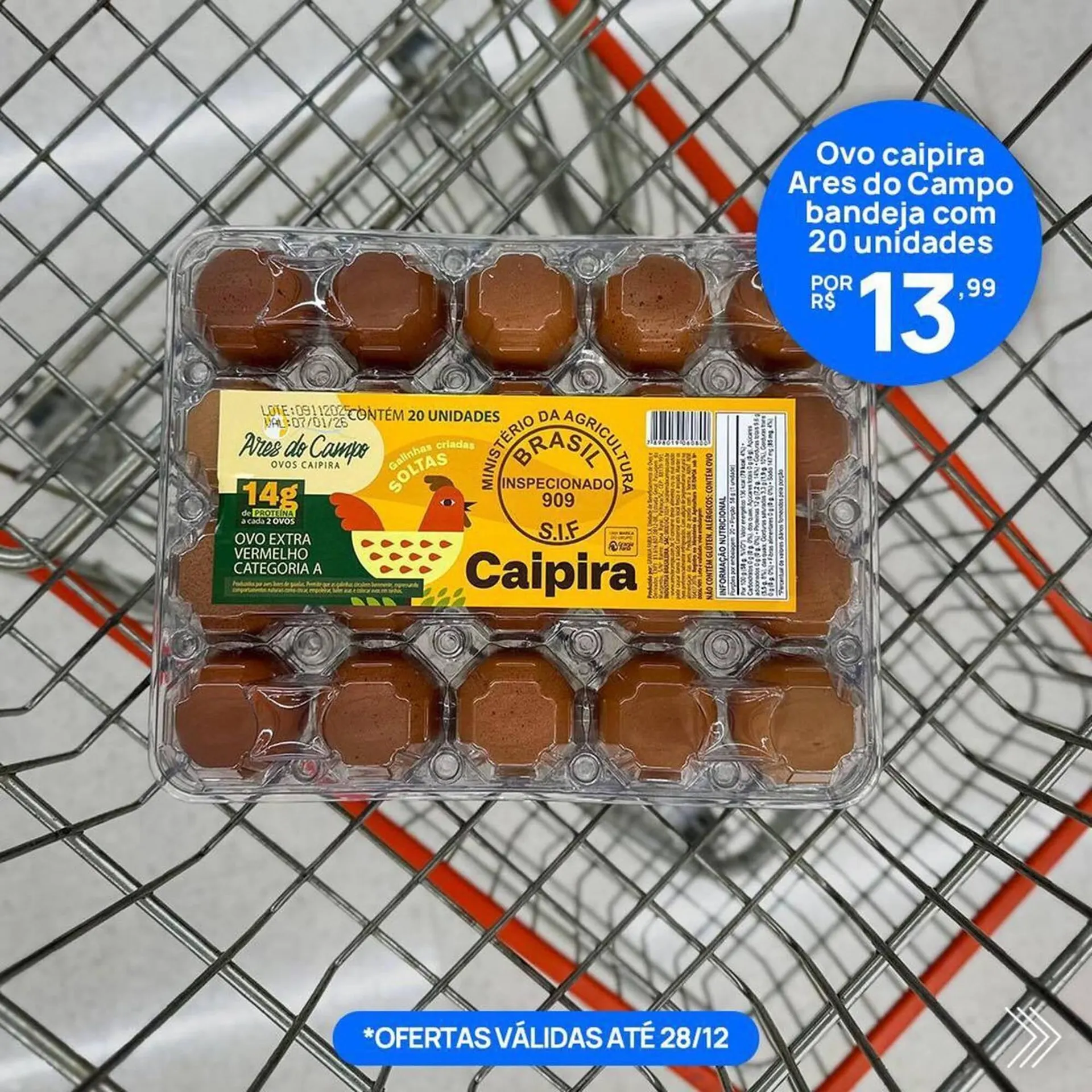 Encarte de Encarte Angeloni 23 de dezembro até 28 de dezembro 2025 - Pagina 6