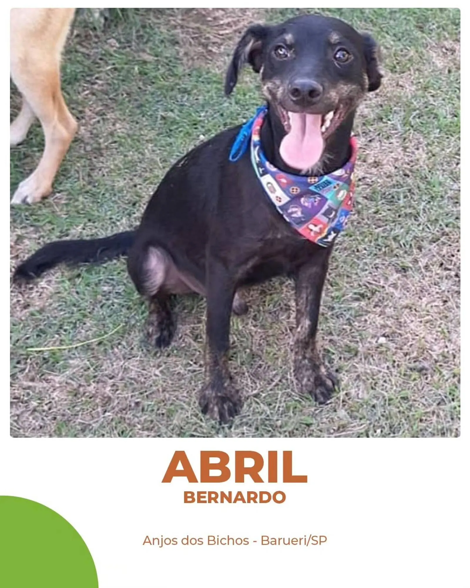 Encarte de Catálogo Cobasi 2 de julho até 10 de julho 2025 - Pagina 5