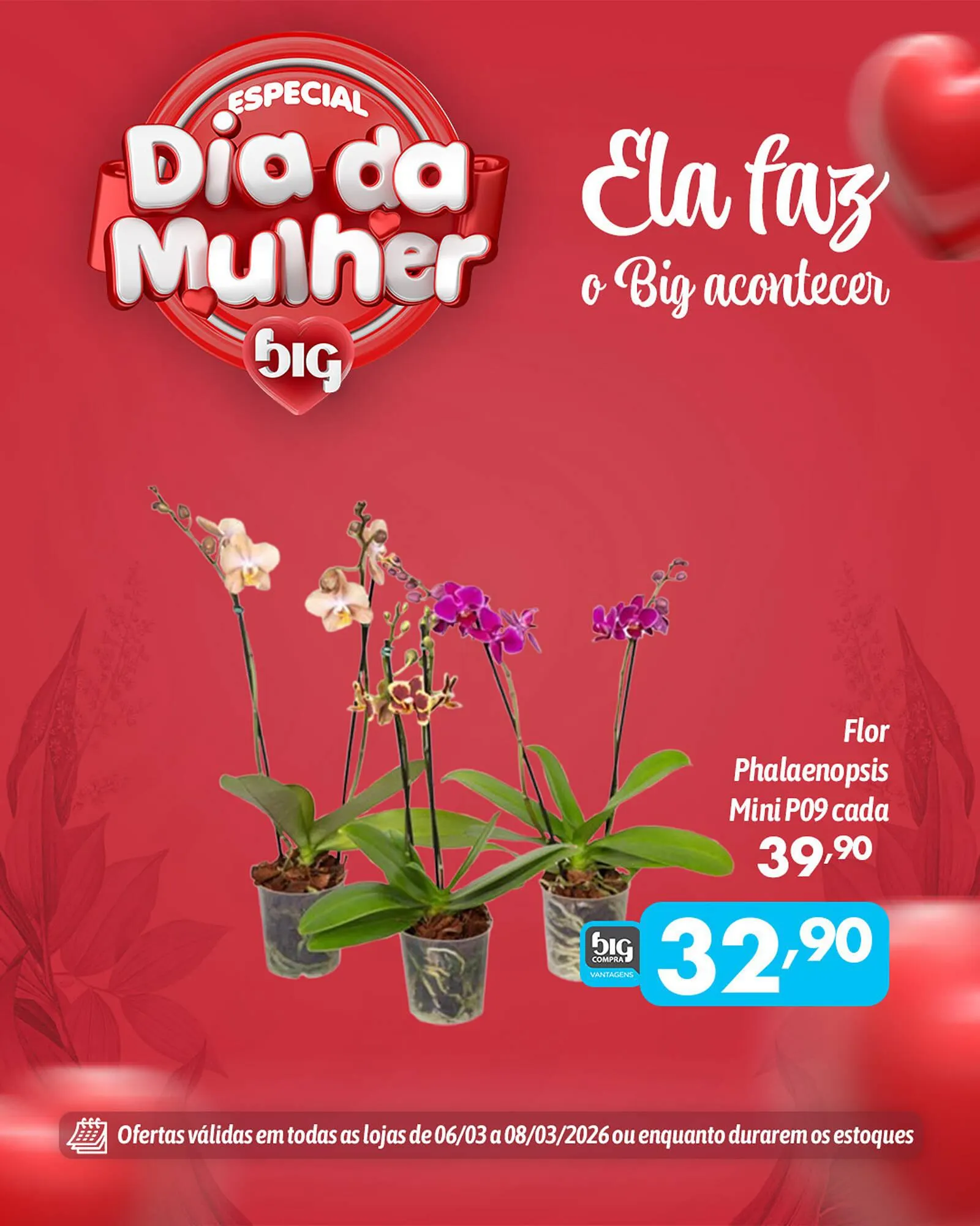 Encarte de Catálogo Supermercados Big Compra 6 de março até 8 de março 2026 - Pagina 3