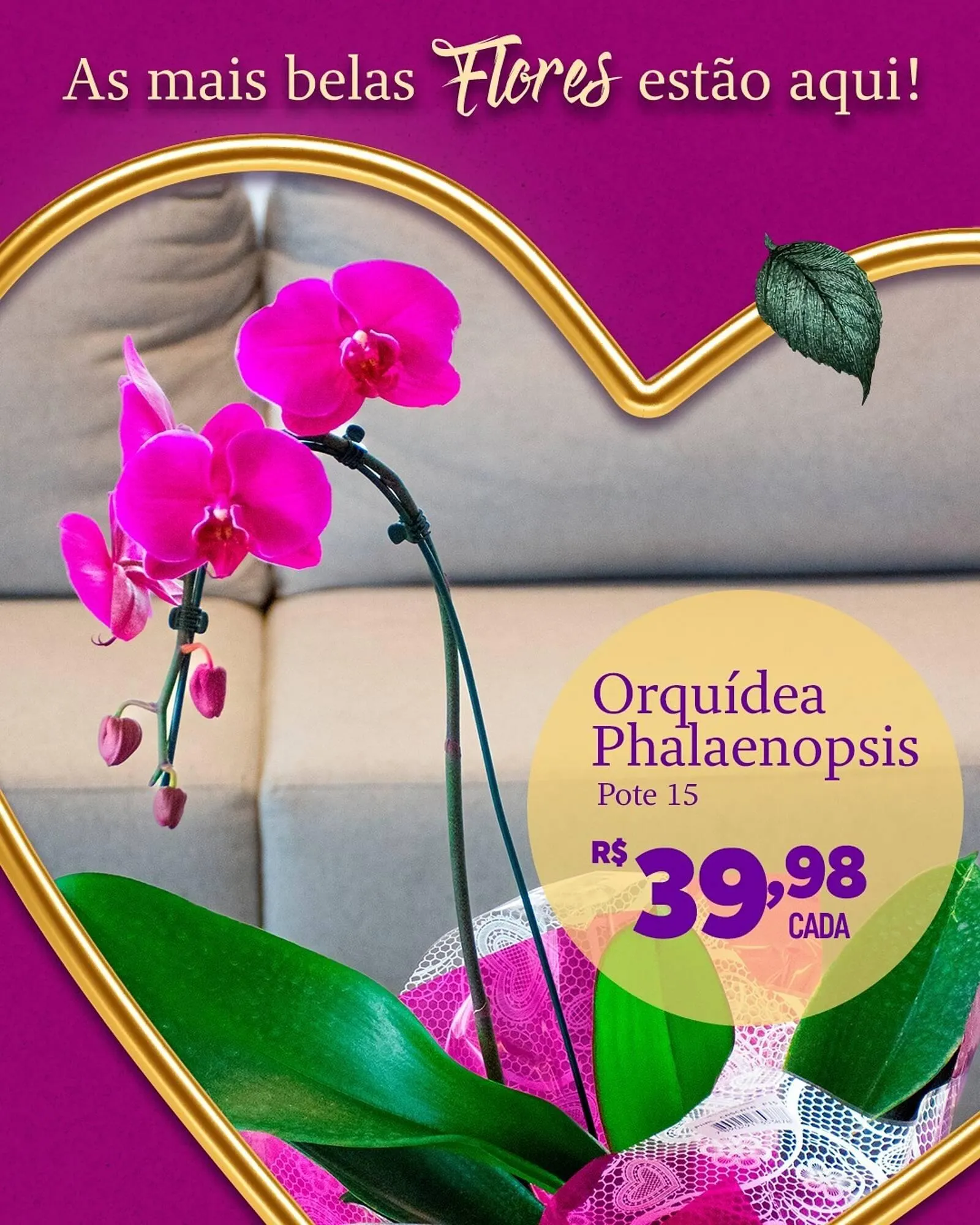 Encarte de Catálogo Muffato 6 de maio até 11 de maio 2025 - Pagina 2