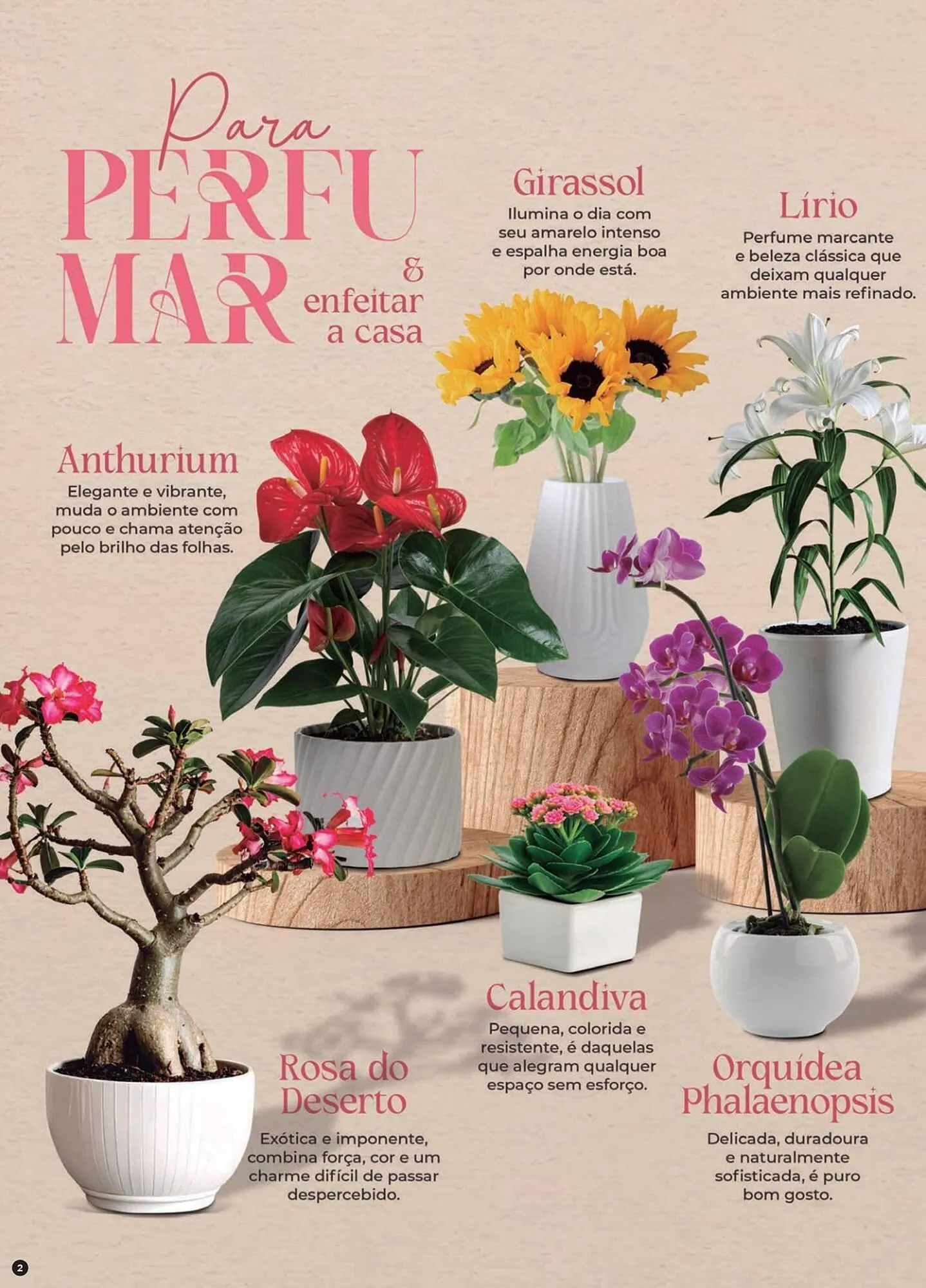 Encarte de Catálogo Big Mais Supermercados 30 de outubro até 18 de novembro 2025 - Pagina 2