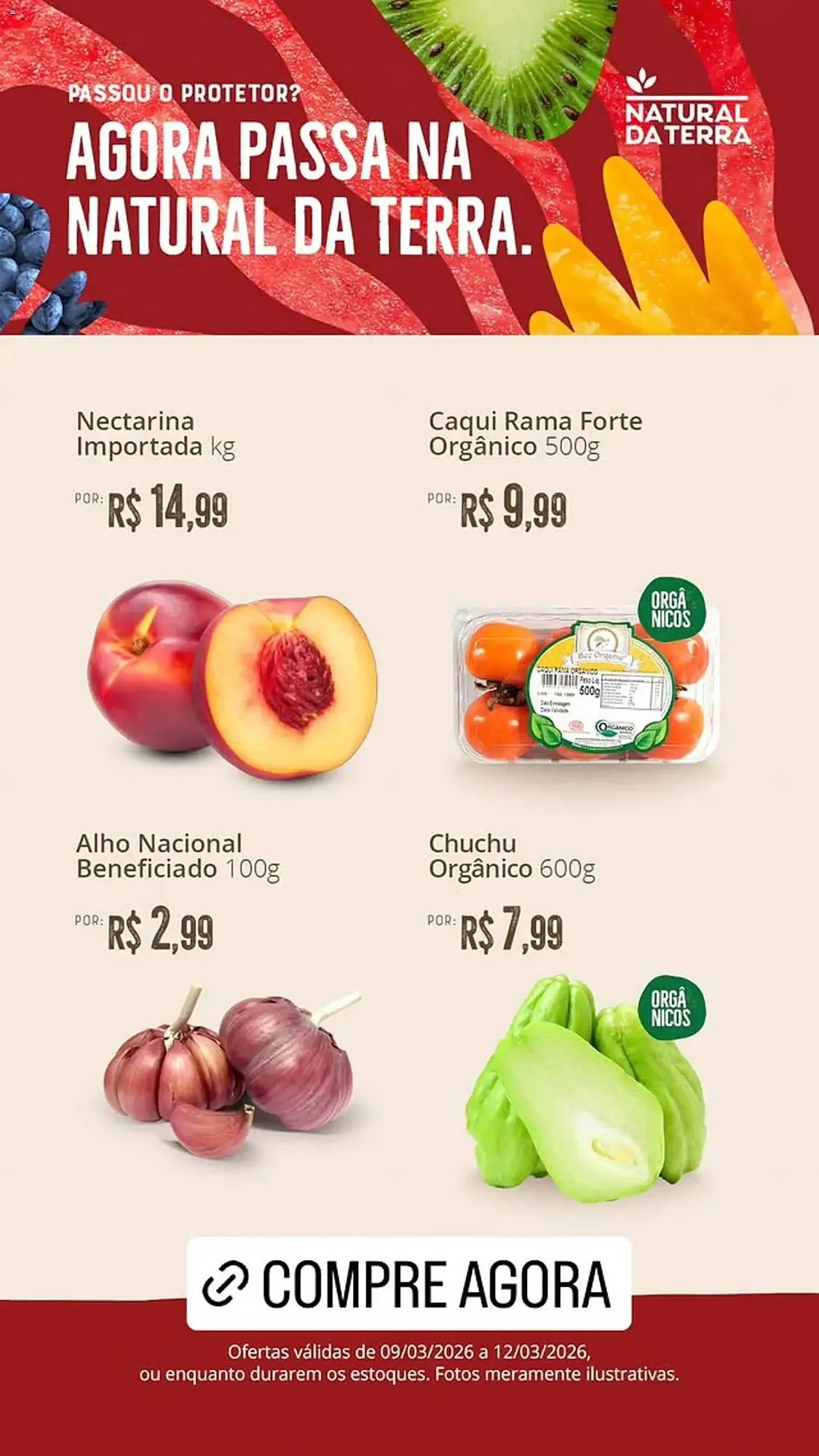 Catálogo Natural da Terra - 1