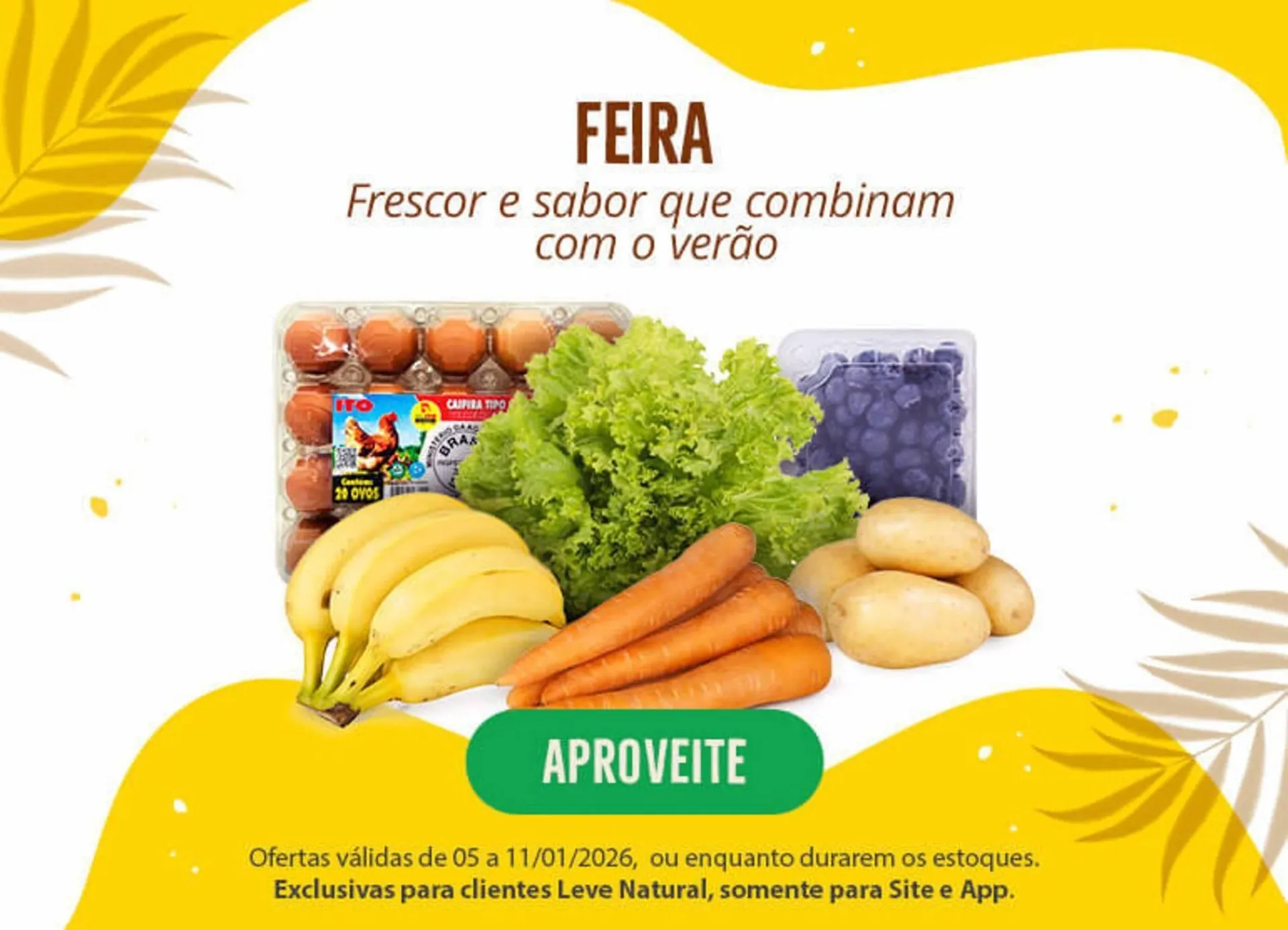 Encarte de Catálogo Natural da Terra 5 de janeiro até 11 de janeiro 2026 - Pagina 2