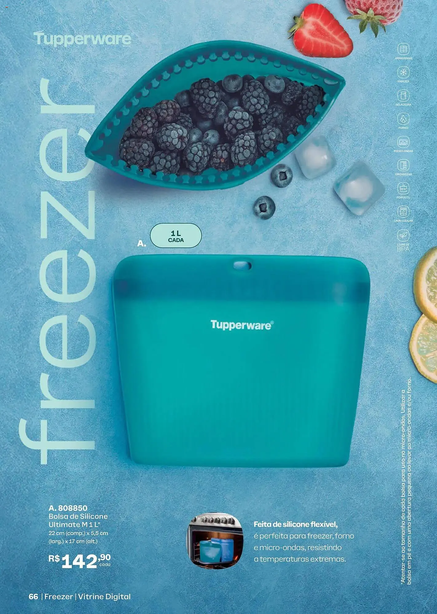 Encarte de Catálogo Tupperware 1 de fevereiro até 28 de fevereiro 2026 - Pagina 68