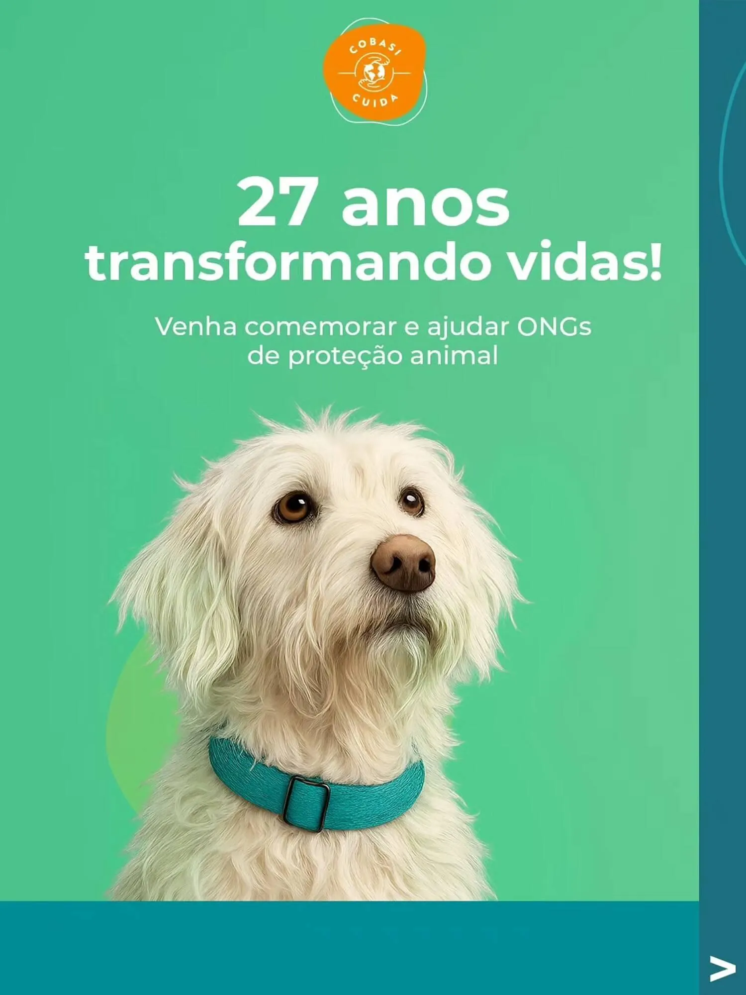 Catálogo Cobasi - 1