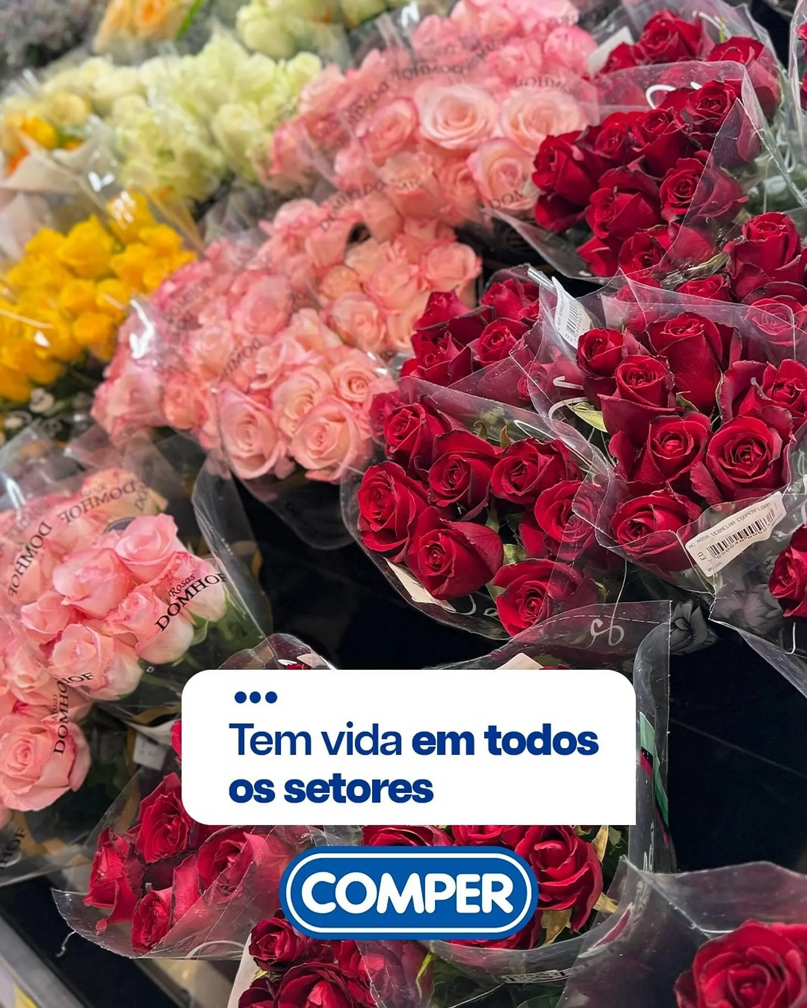 Encarte de Folheto Comper 10 de maio até 16 de maio 2026 - Pagina 5