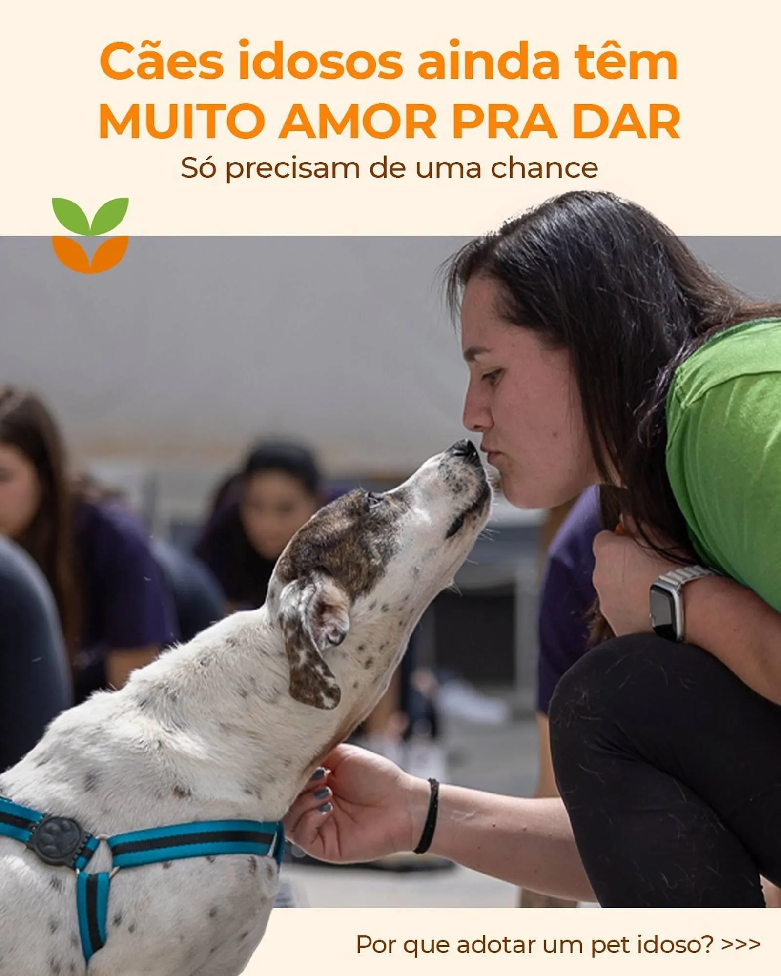 Catálogo Cobasi - 1