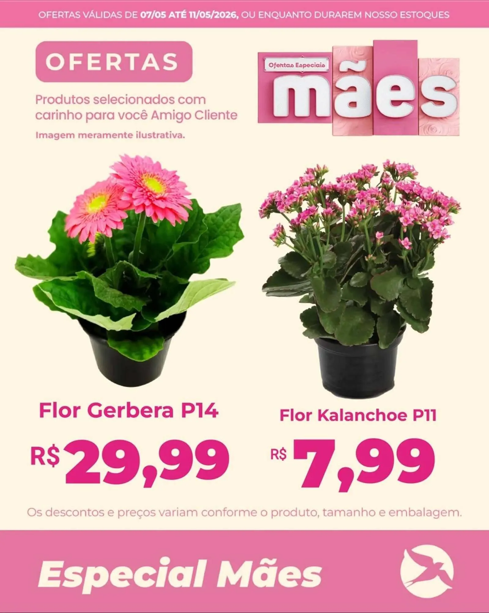Encarte de Folheto Andorinha Hipermercado 7 de maio até 11 de maio 2026 - Pagina 20