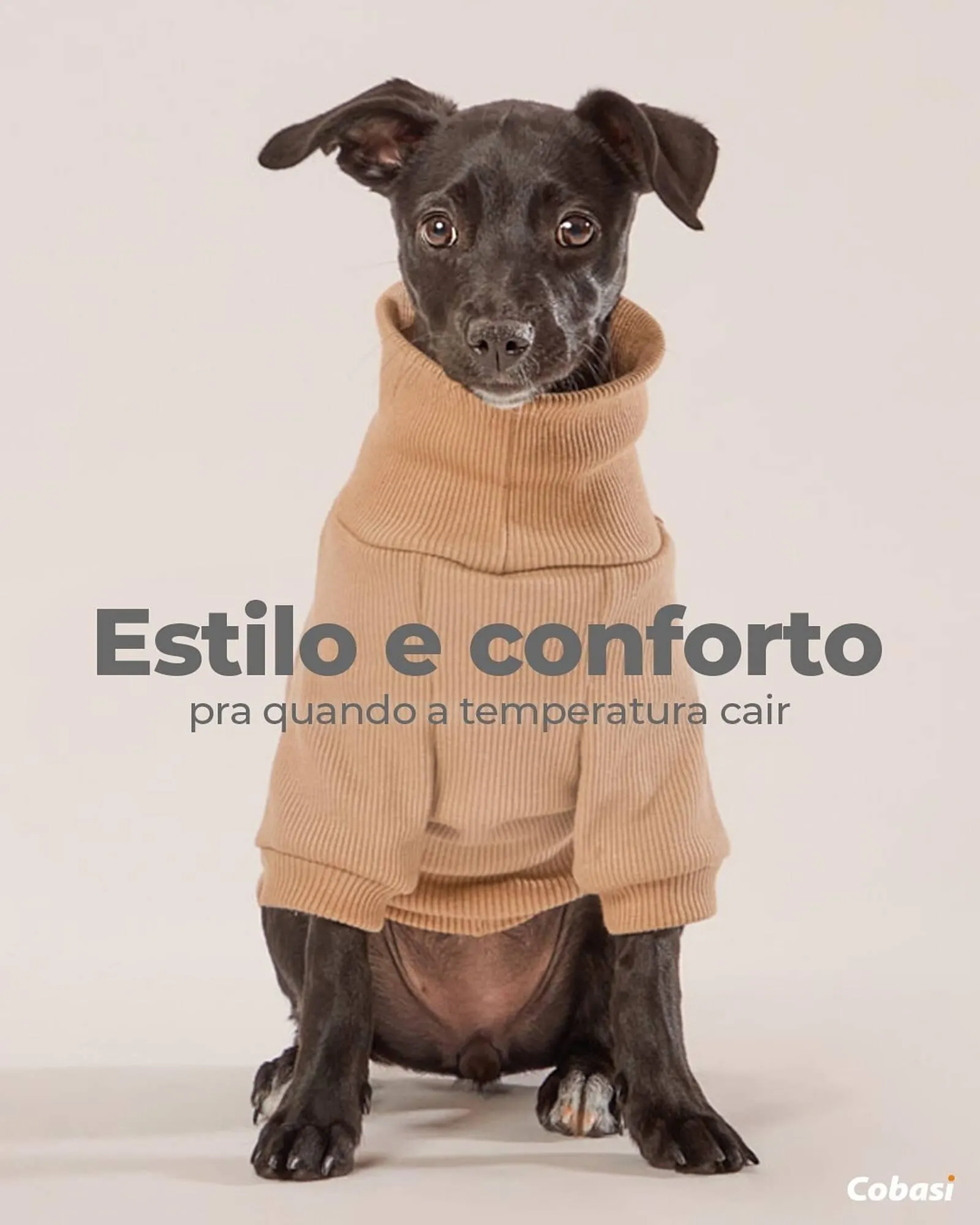 Catálogo Cobasi - 1