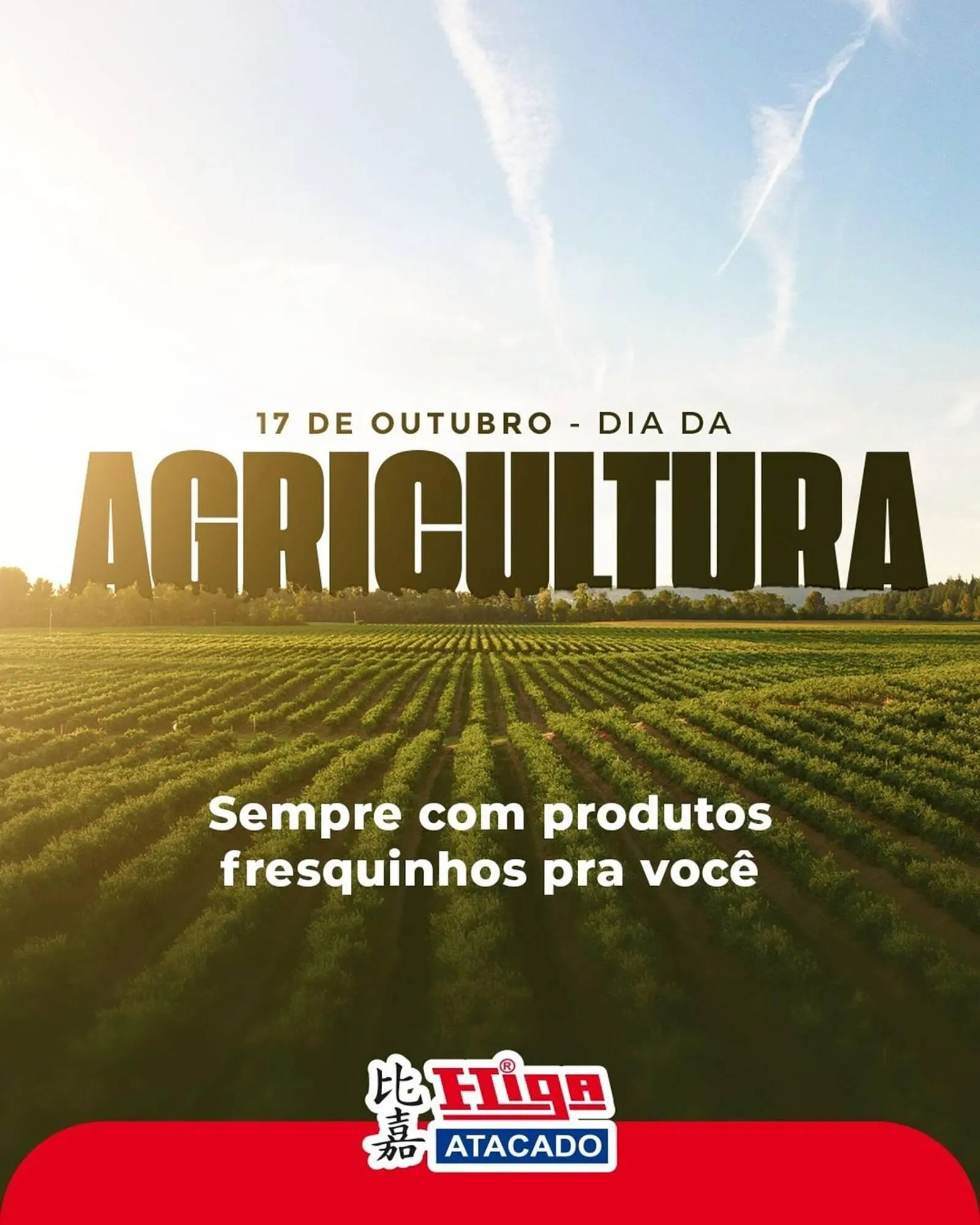 Folheto Higa Atacado - 1