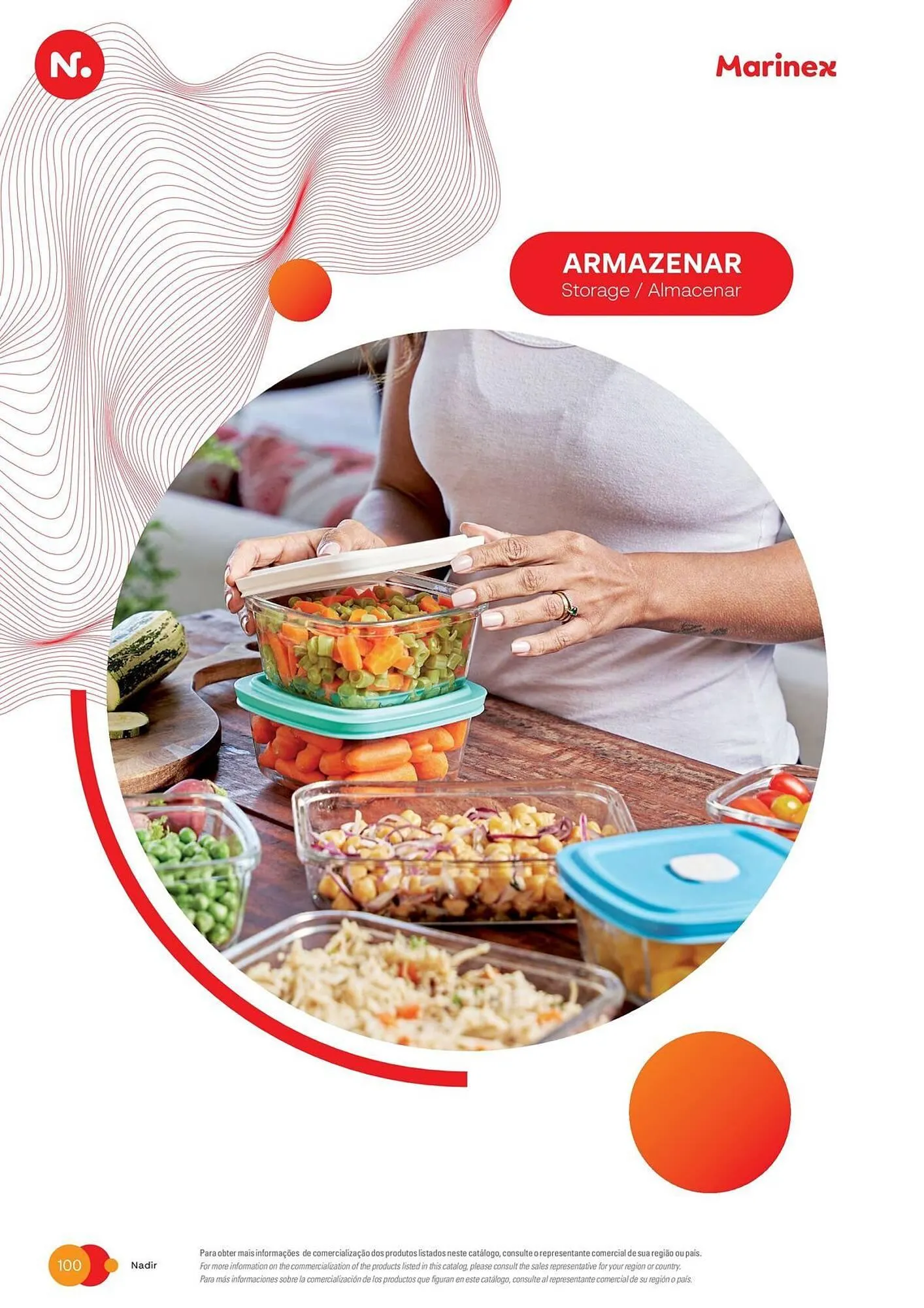 Encarte de Catálogo Nadir 3 de outubro até 31 de dezembro 2025 - Pagina 99