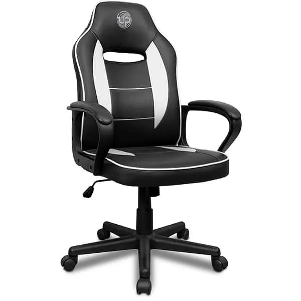 Cadeira Gamer UP X13FBW, Ajuste de Altura, Encosto confortável, Preto e Branco, XL-3319, Up - CX 1 UN