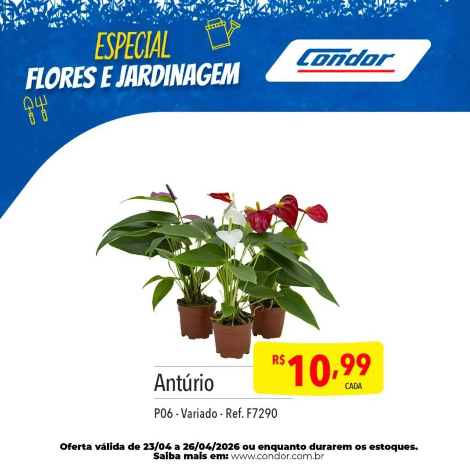 Encarte de Catálogo Supermercados Condor 23 de abril até 26 de abril 2026 - Pagina 22