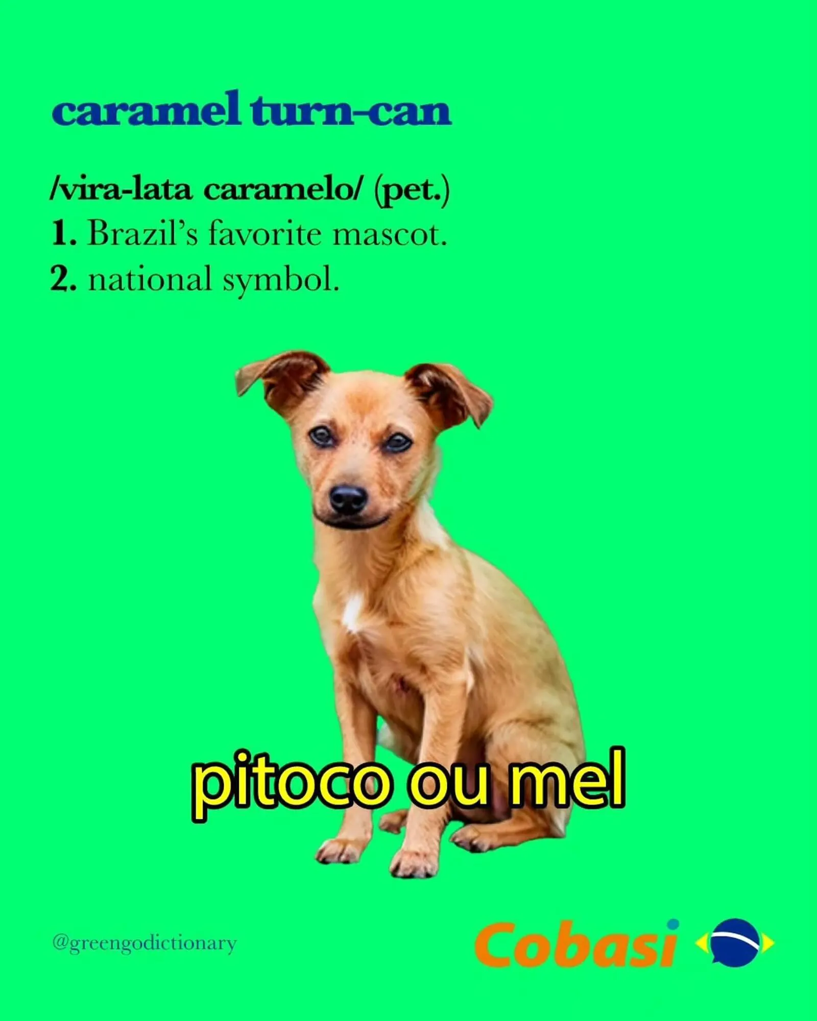 Encarte de Catálogo Cobasi 7 de agosto até 31 de agosto 2025 - Pagina 3