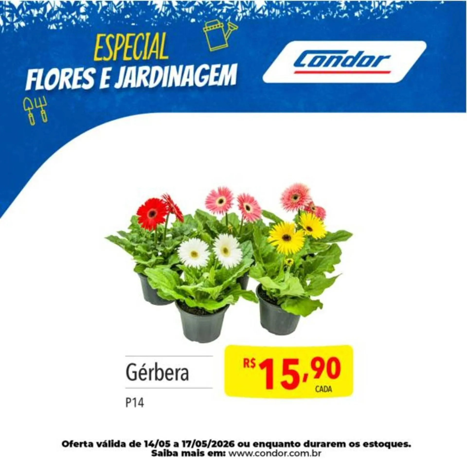 Encarte de Catálogo Supermercados Condor 12 de maio até 14 de maio 2026 - Pagina 20
