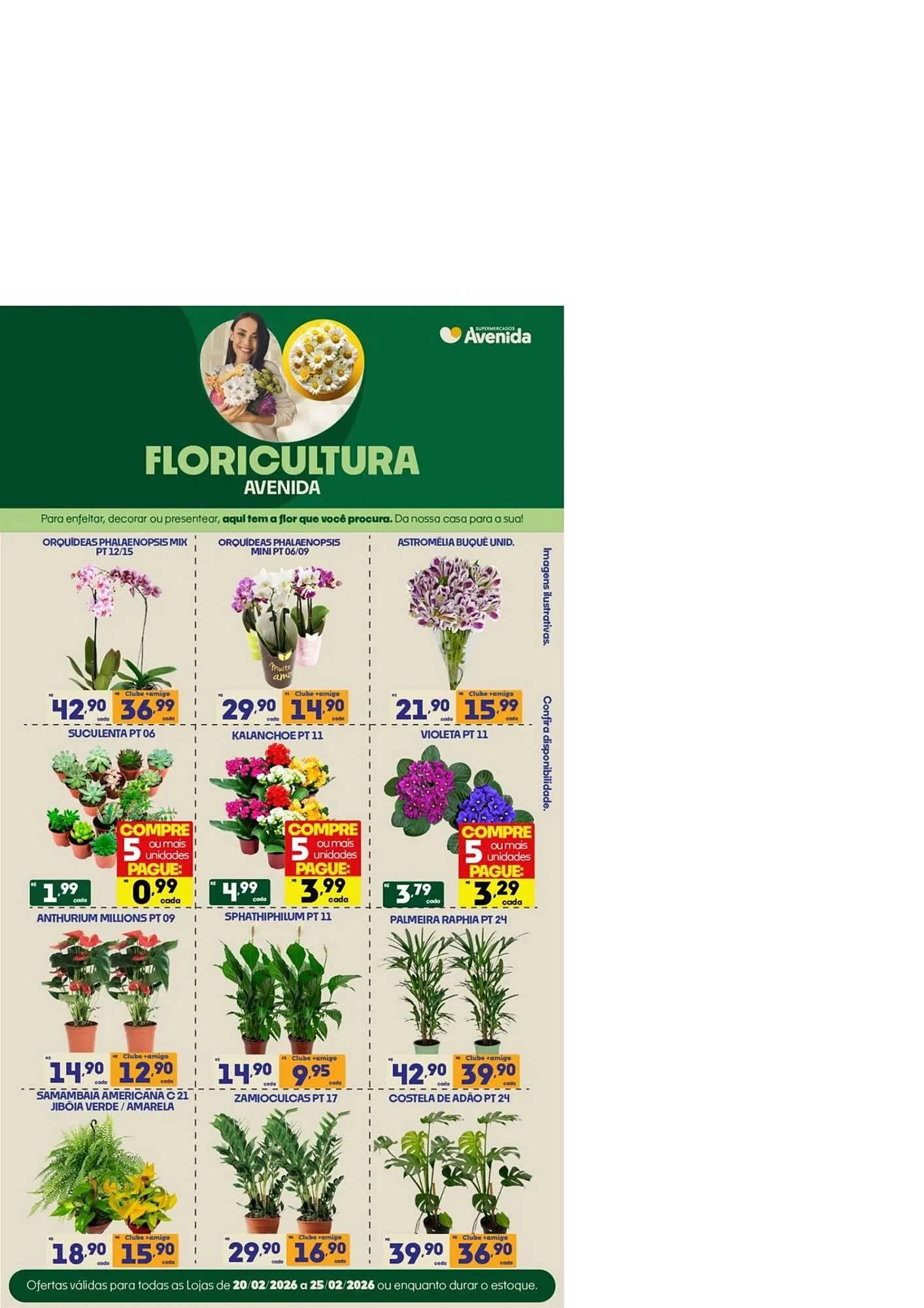 Encarte de Catálogo Supermercados Avenida 24 de fevereiro até 25 de fevereiro 2026 - Pagina 14